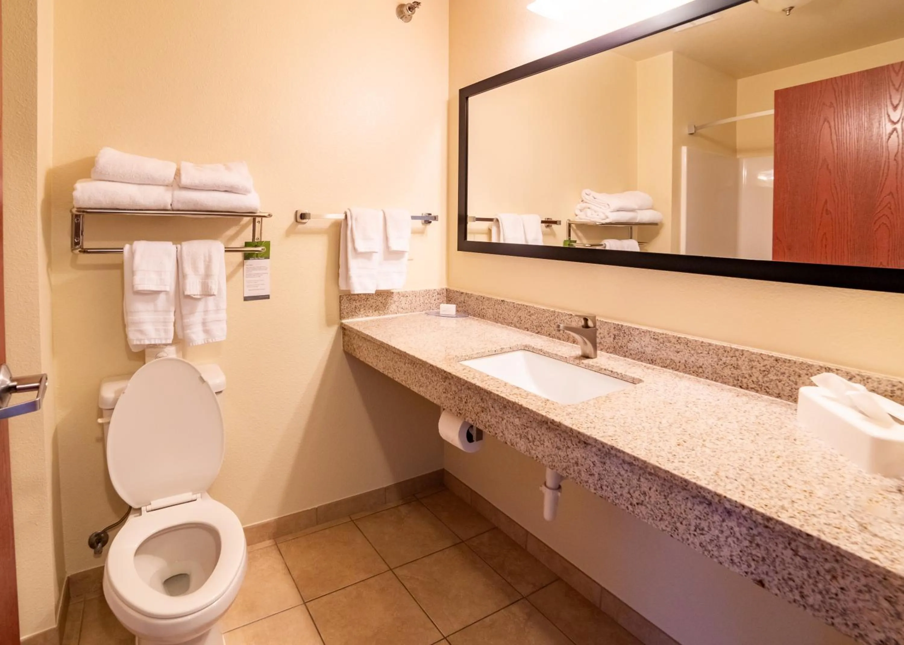 Bathroom in Cobblestone Inn and Suites - Eaton