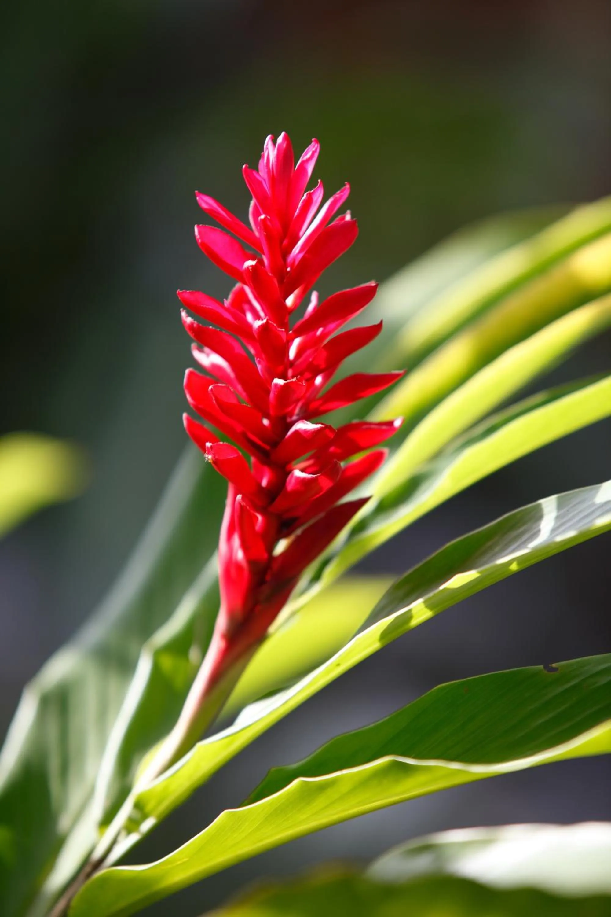 Other in Hotel La Chaumiere