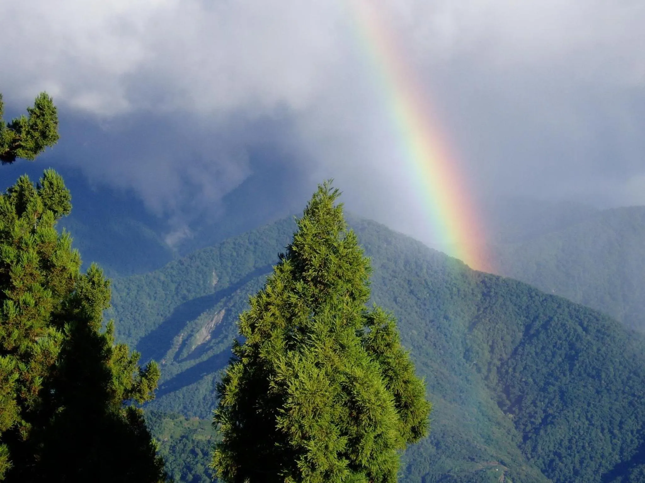 View (from property/room) in Liching Garden Villa
