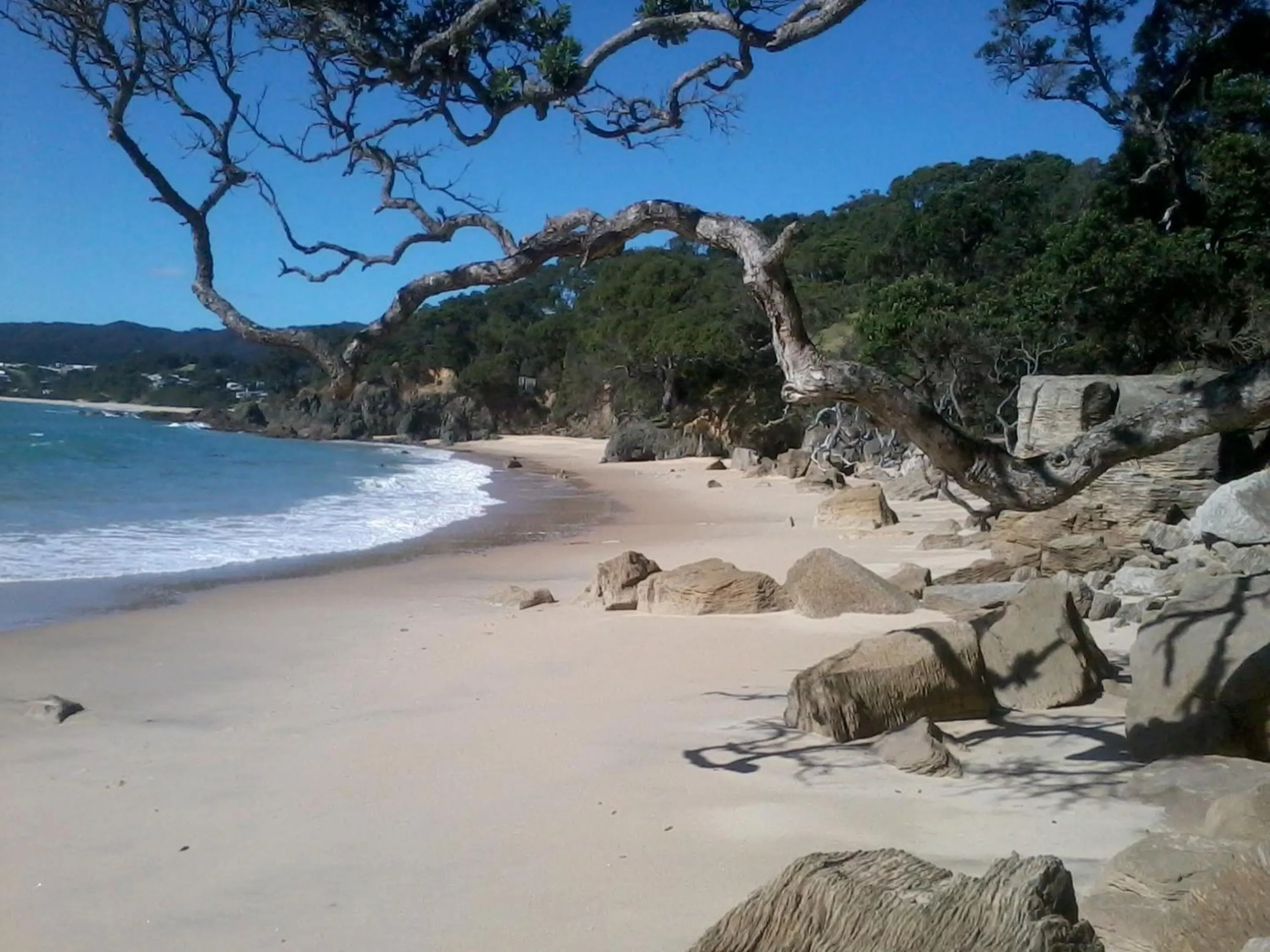 Beach in Country Homestead at Black Sheep Farm