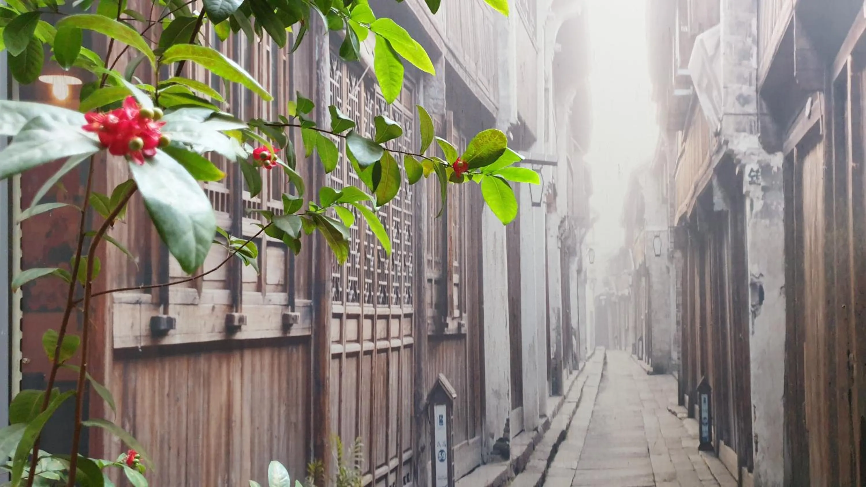 Garden view in Shanghai Time