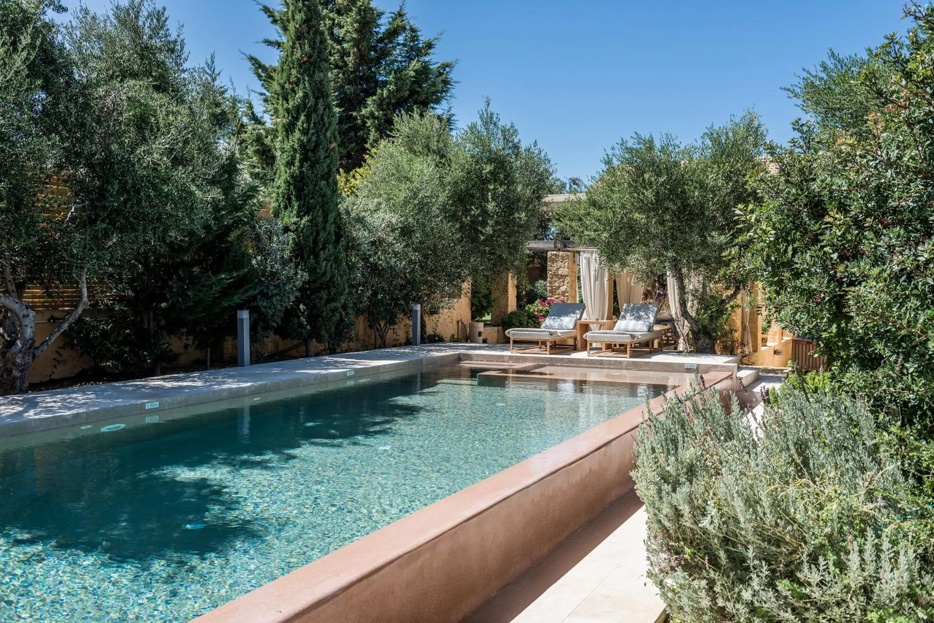 Garden in Villa Dimi