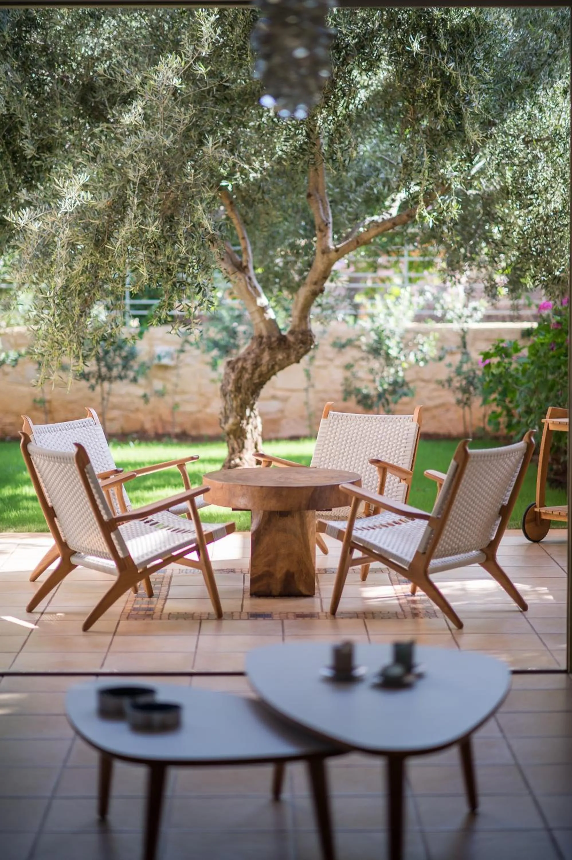 Garden in Villa Dimi