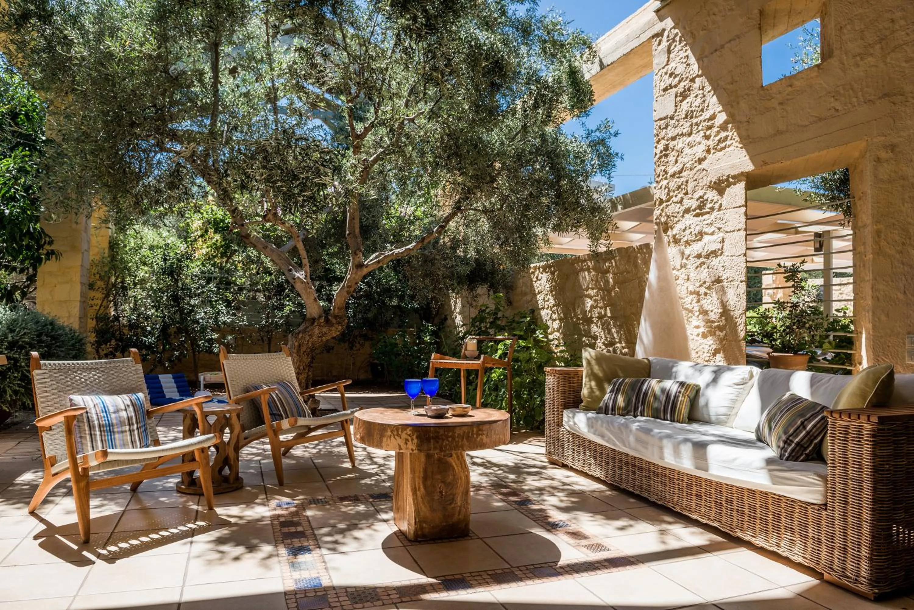 Garden in Villa Dimi