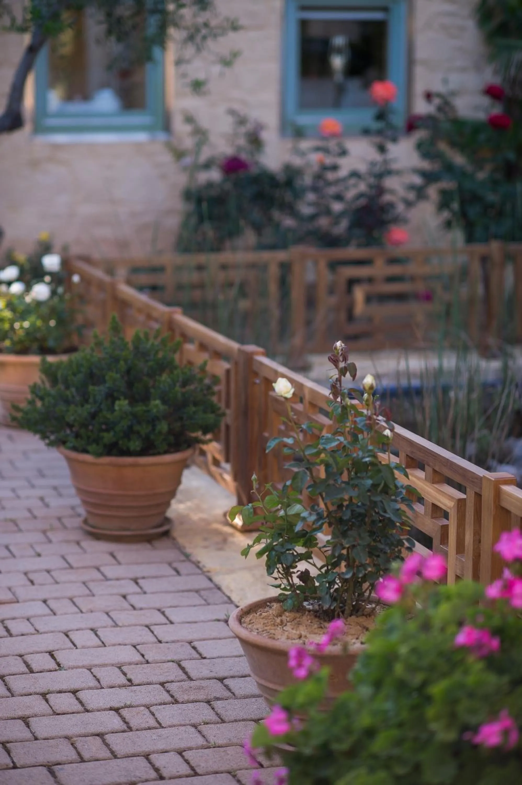Garden in Villa Dimi
