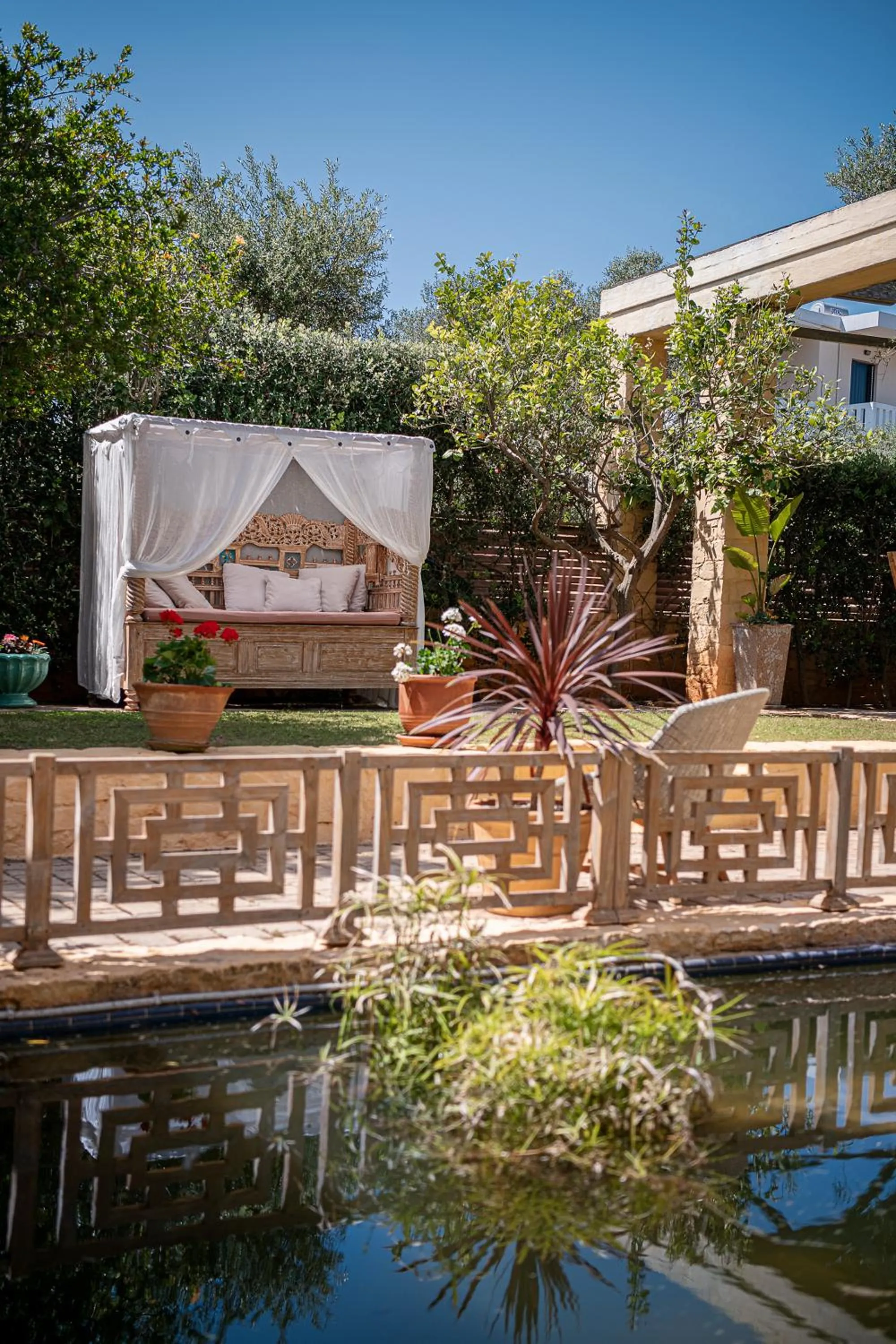 Garden in Villa Dimi