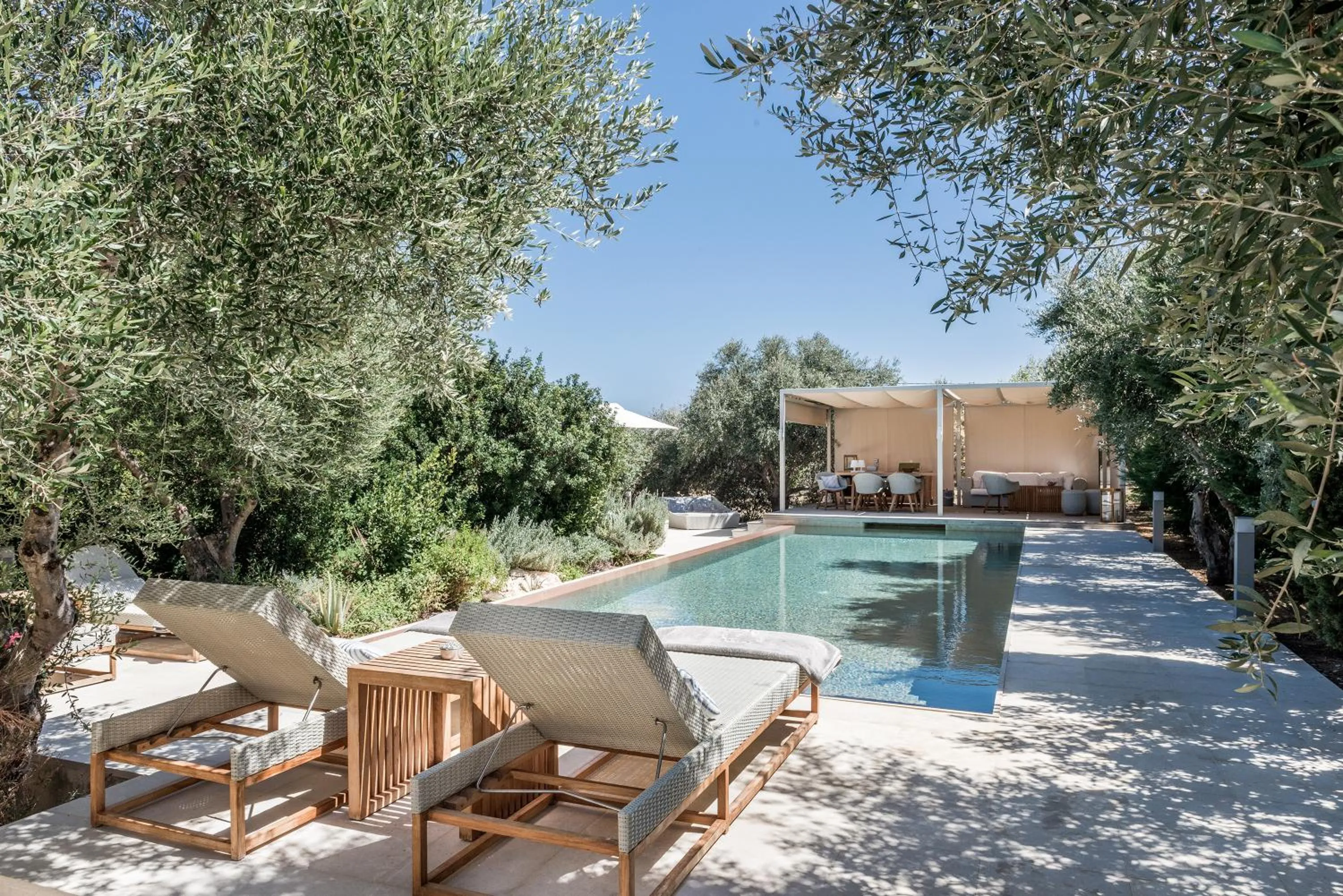 Garden in Villa Dimi