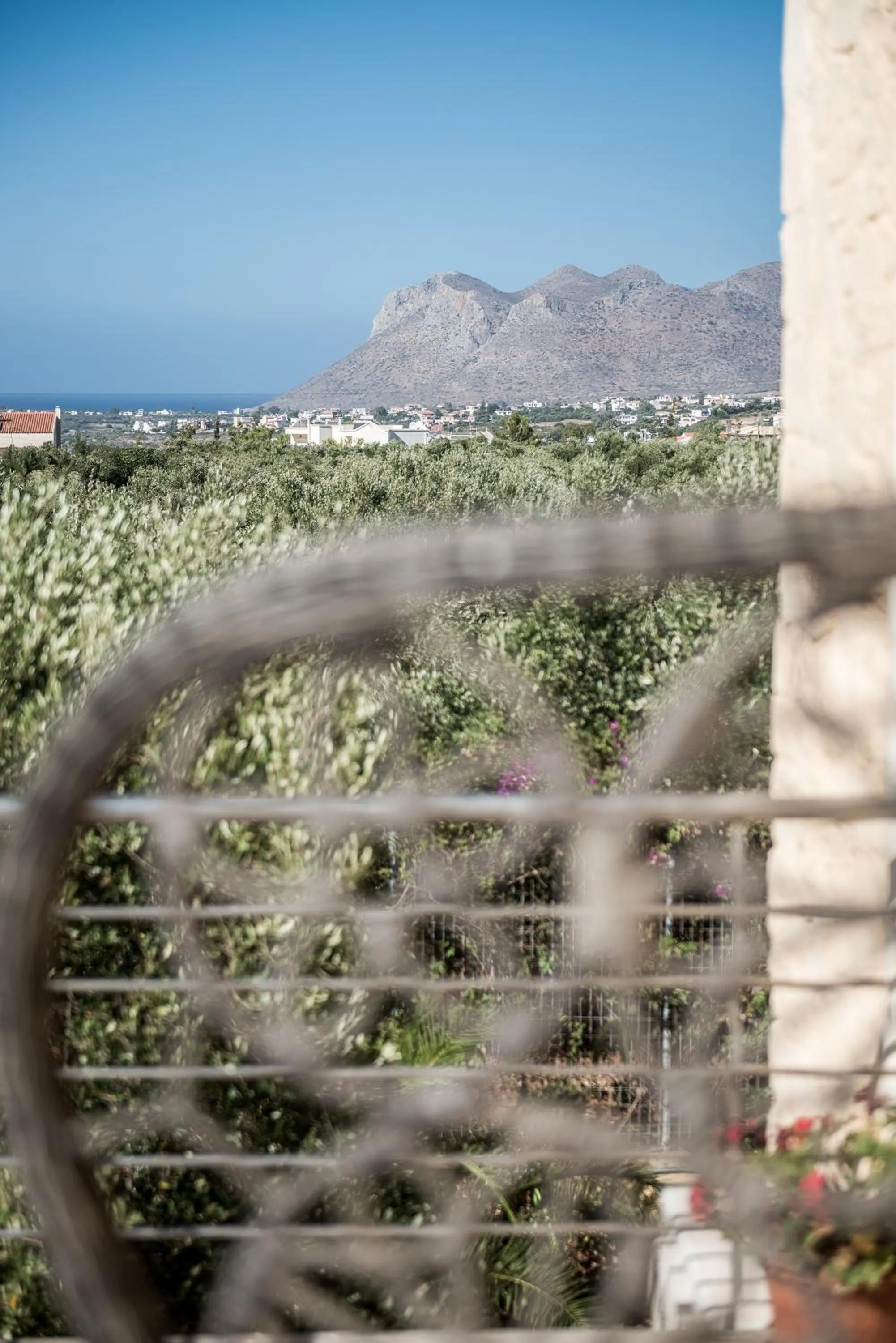 Balcony/Terrace in Villa Dimi