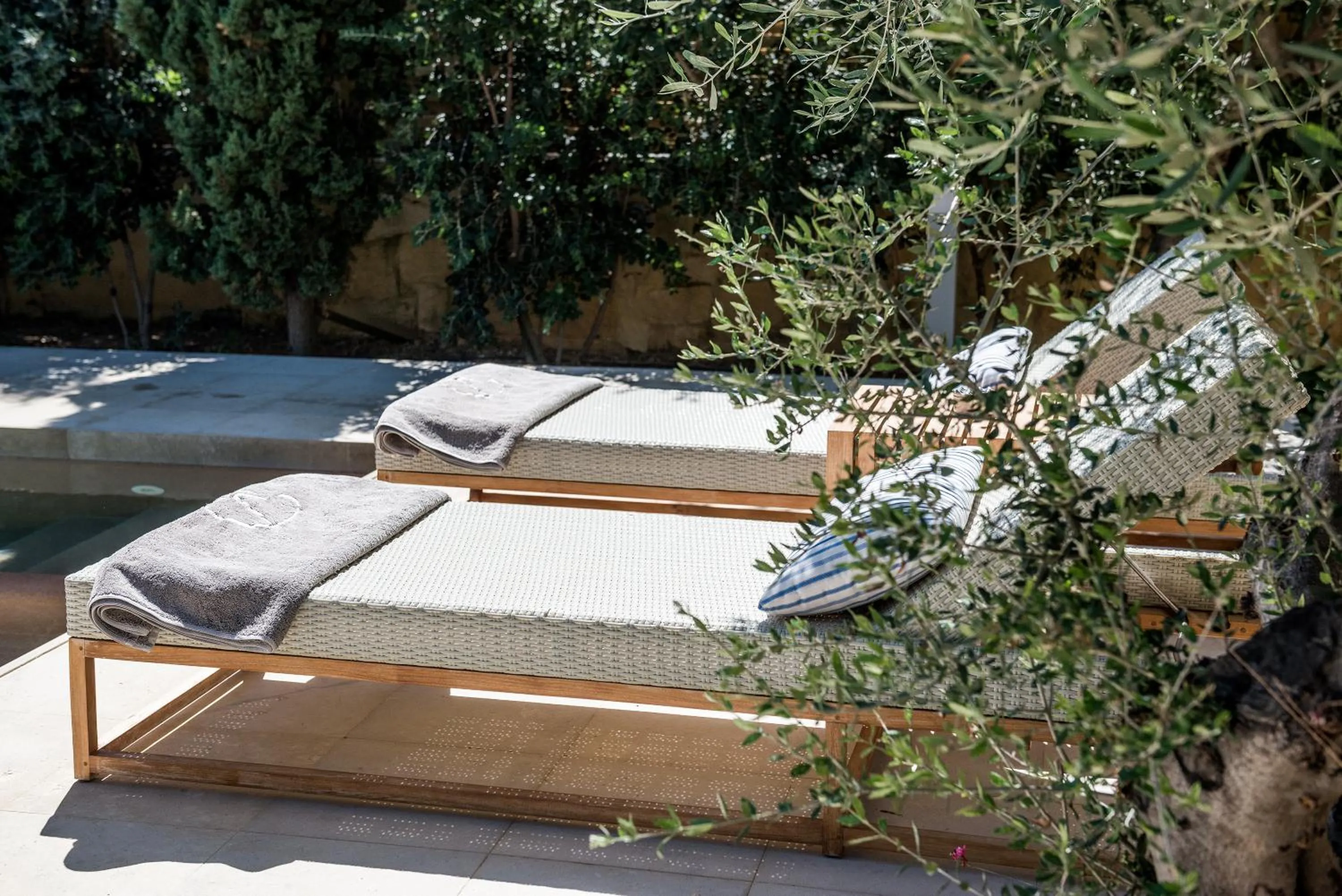 Garden in Villa Dimi