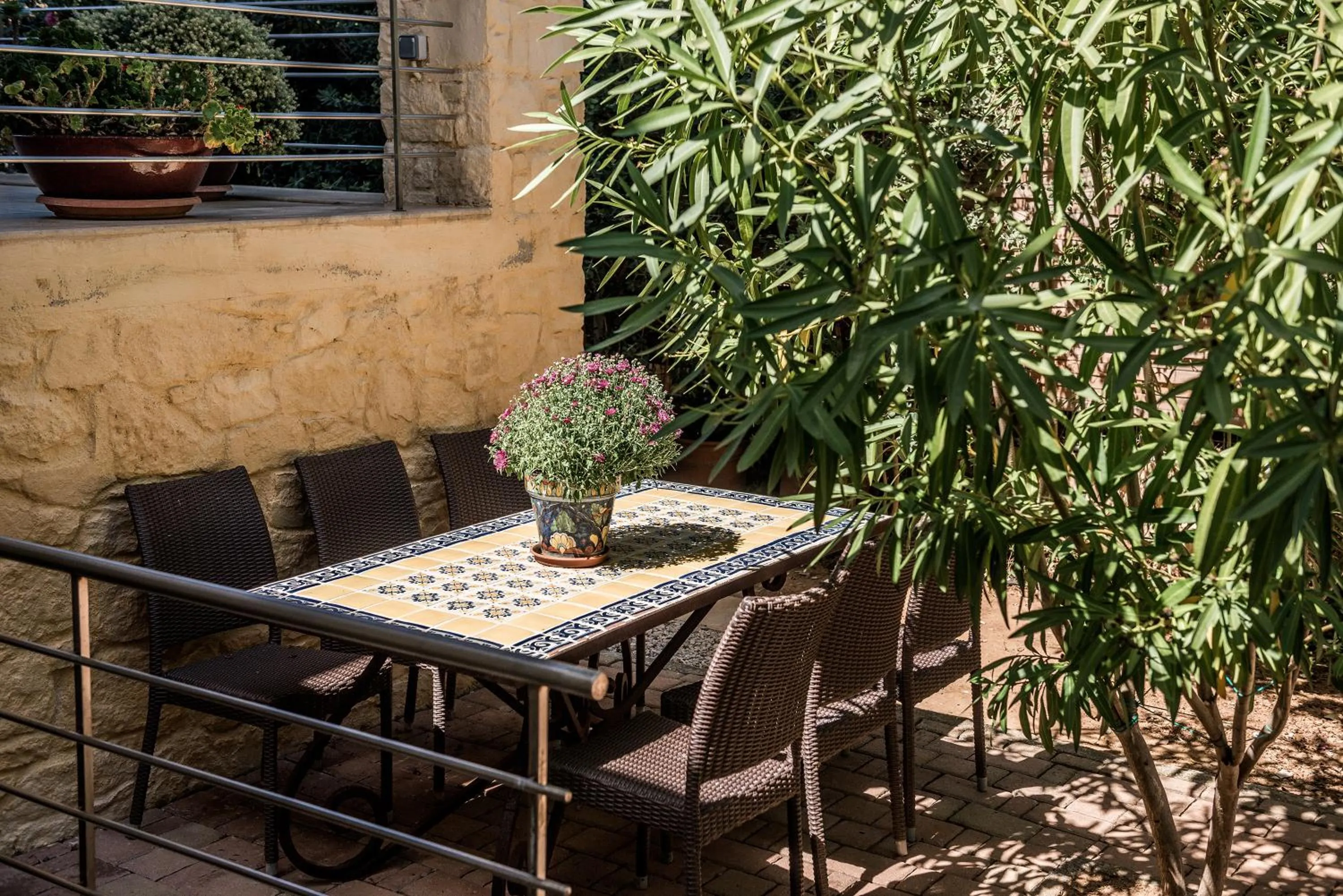 Garden in Villa Dimi