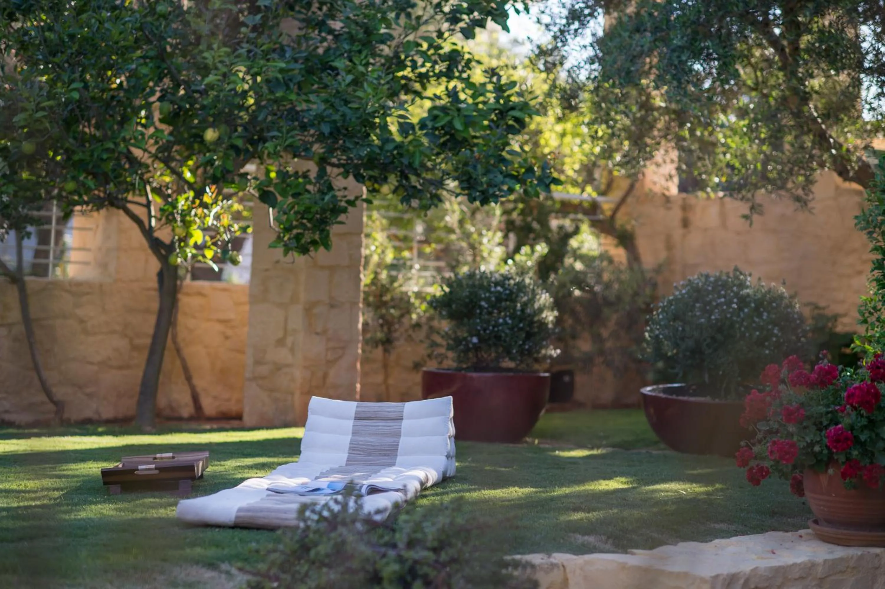 Garden in Villa Dimi