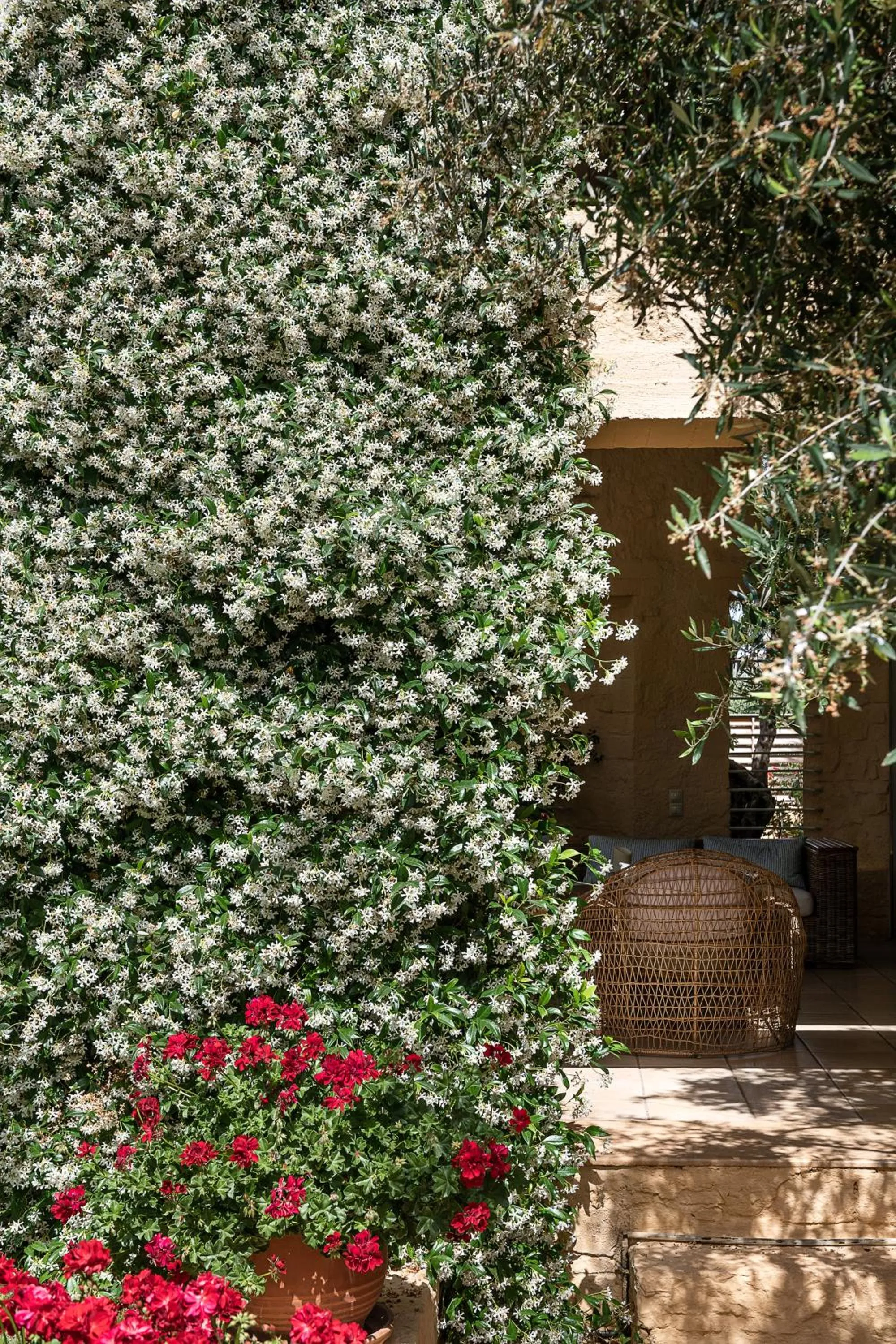 Patio in Villa Dimi