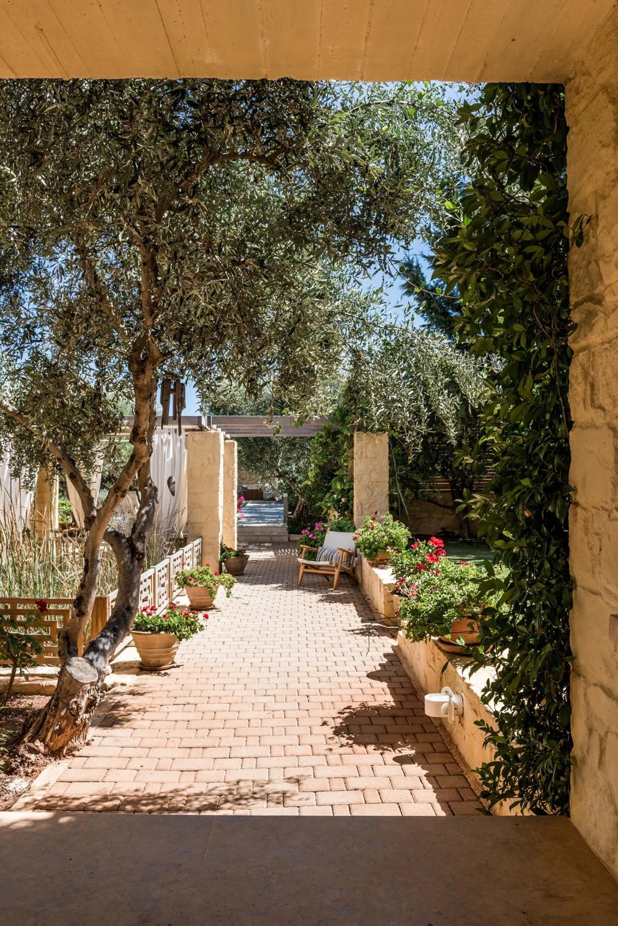 Garden in Villa Dimi