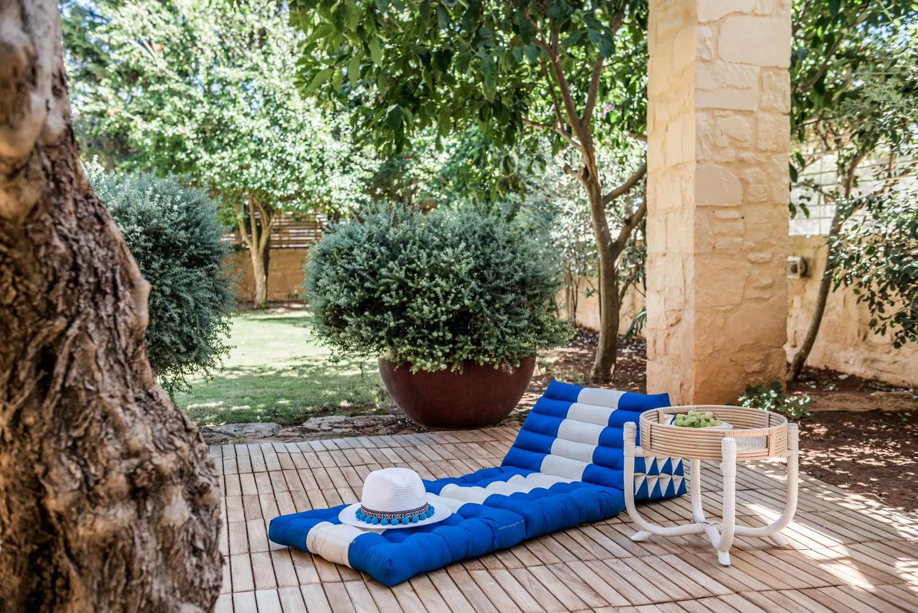 Garden in Villa Dimi