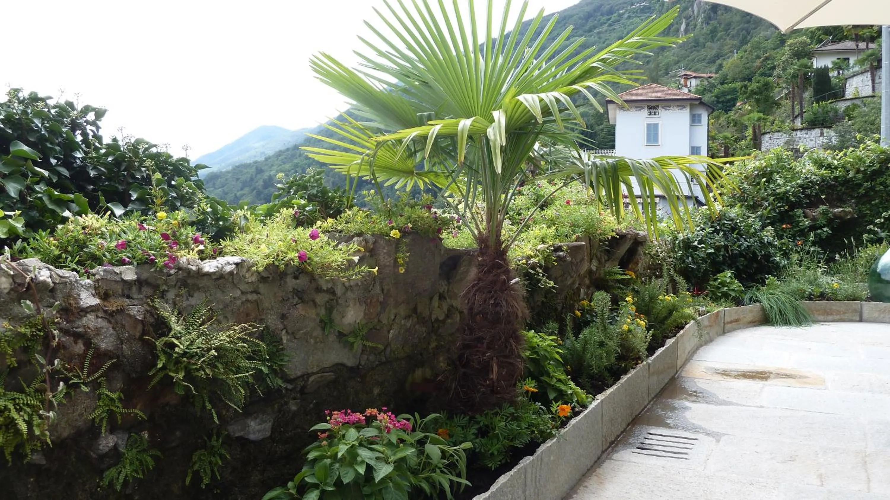 Garden in B&B Casa Forster