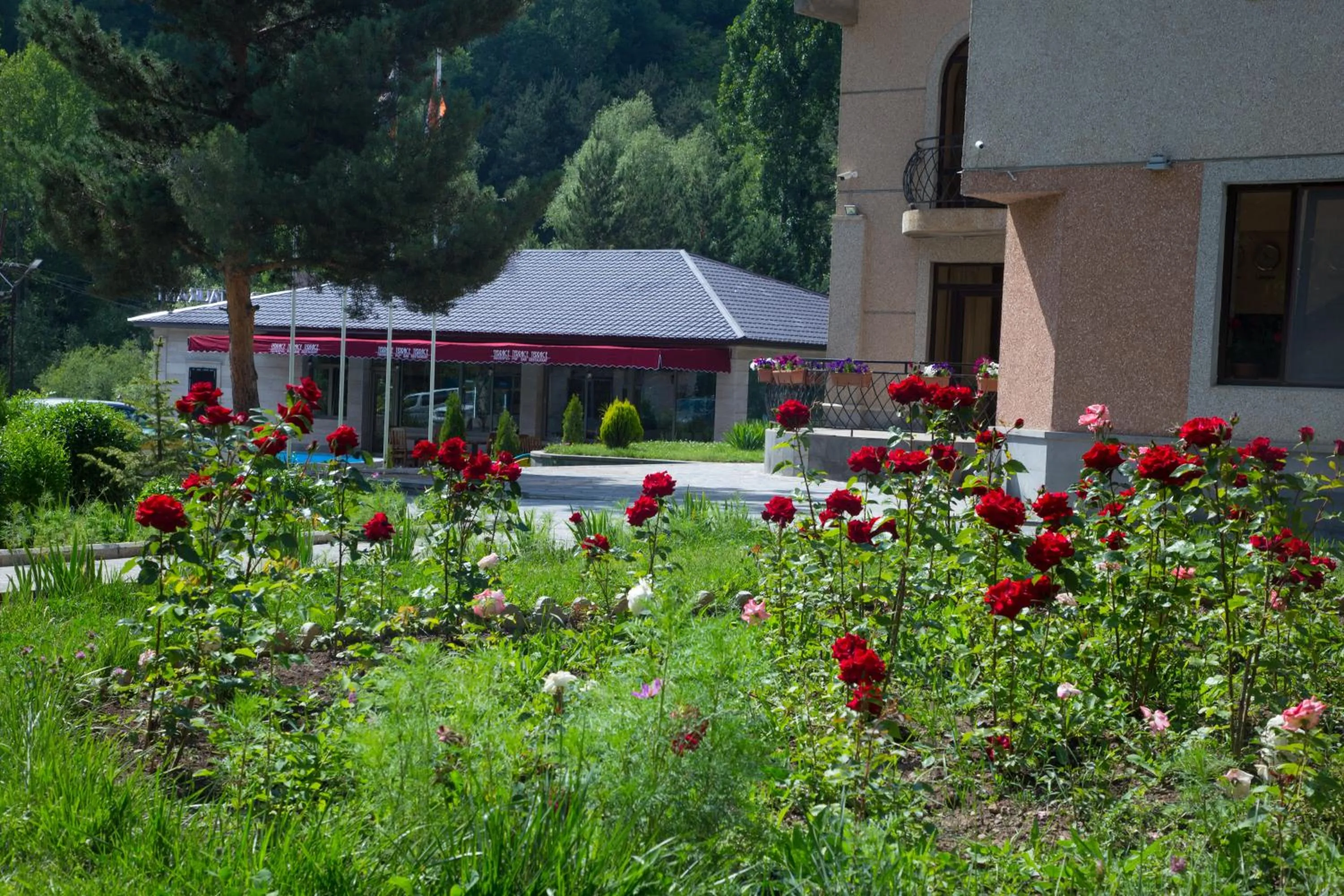 Restaurant/places to eat in Jermuk Verona Resort
