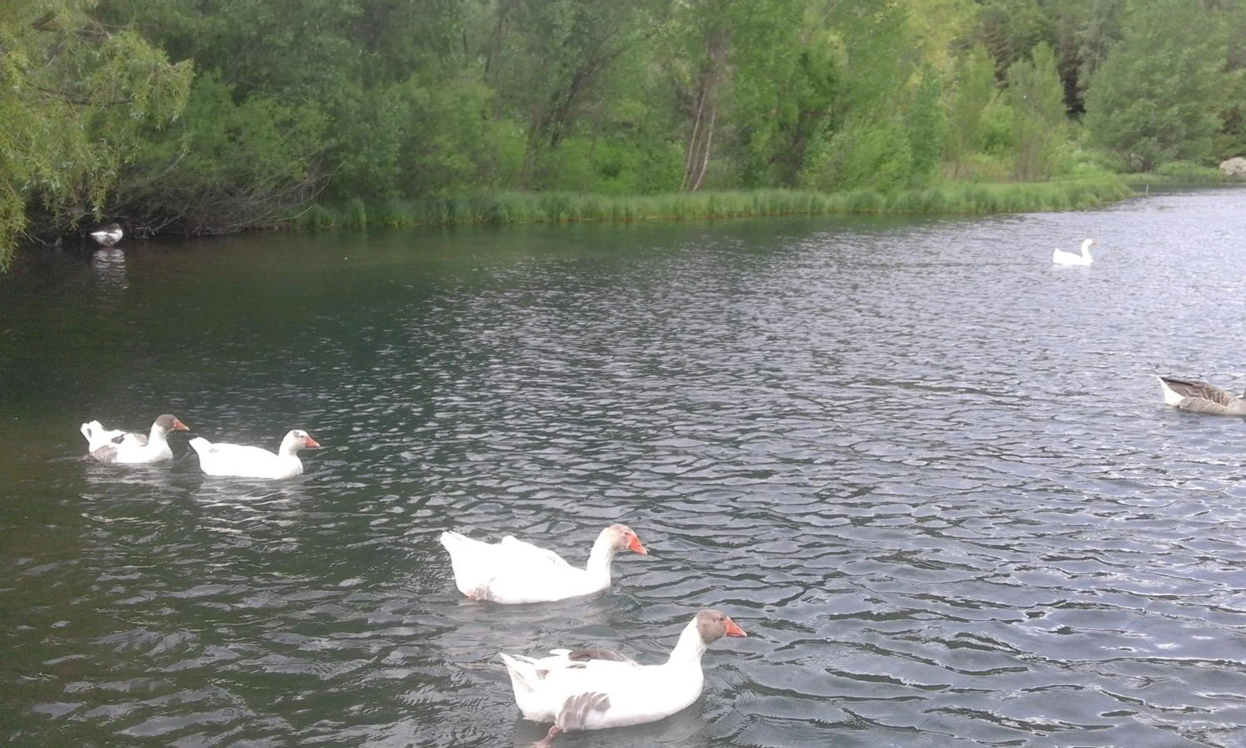 Neighbourhood in Jermuk Verona Resort