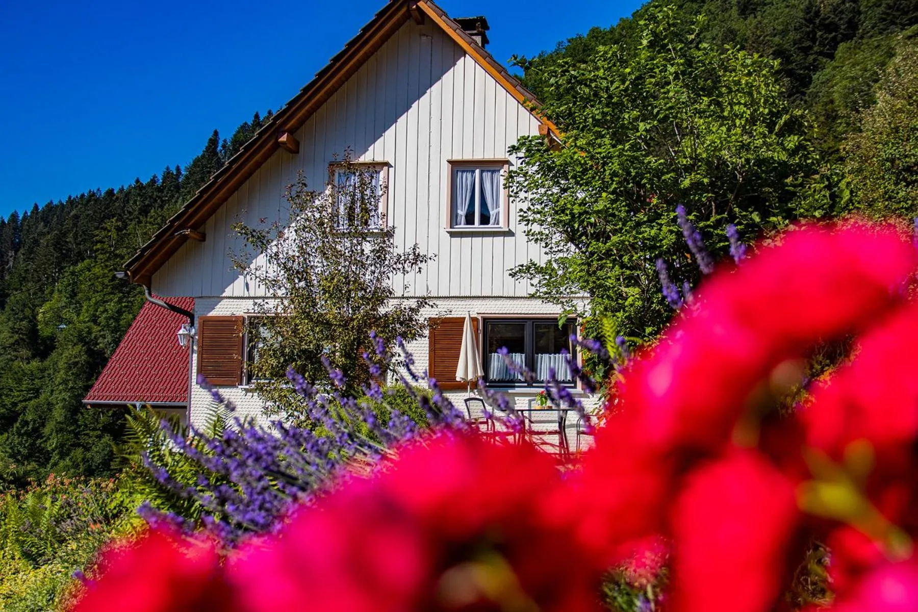 Property building in Haus Niedermättle