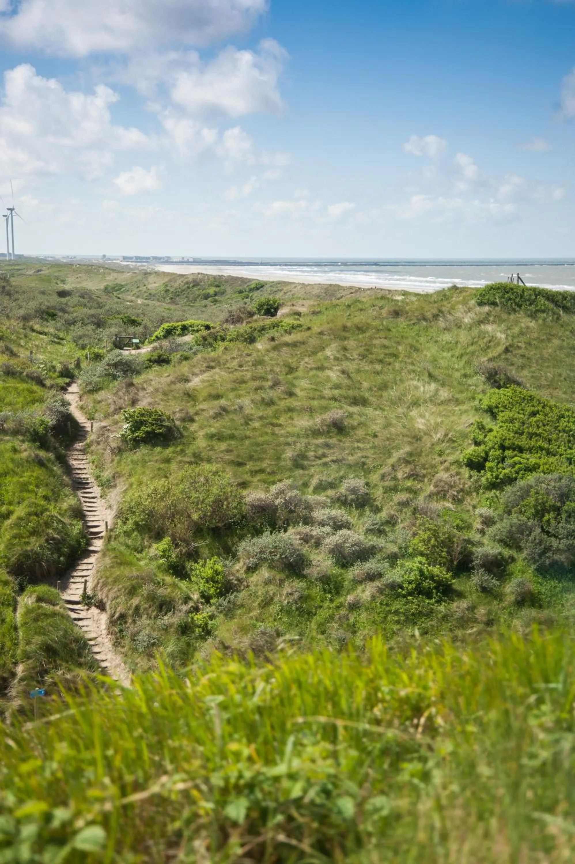 Natural landscape in Strandhotel Het Hoge Duin
