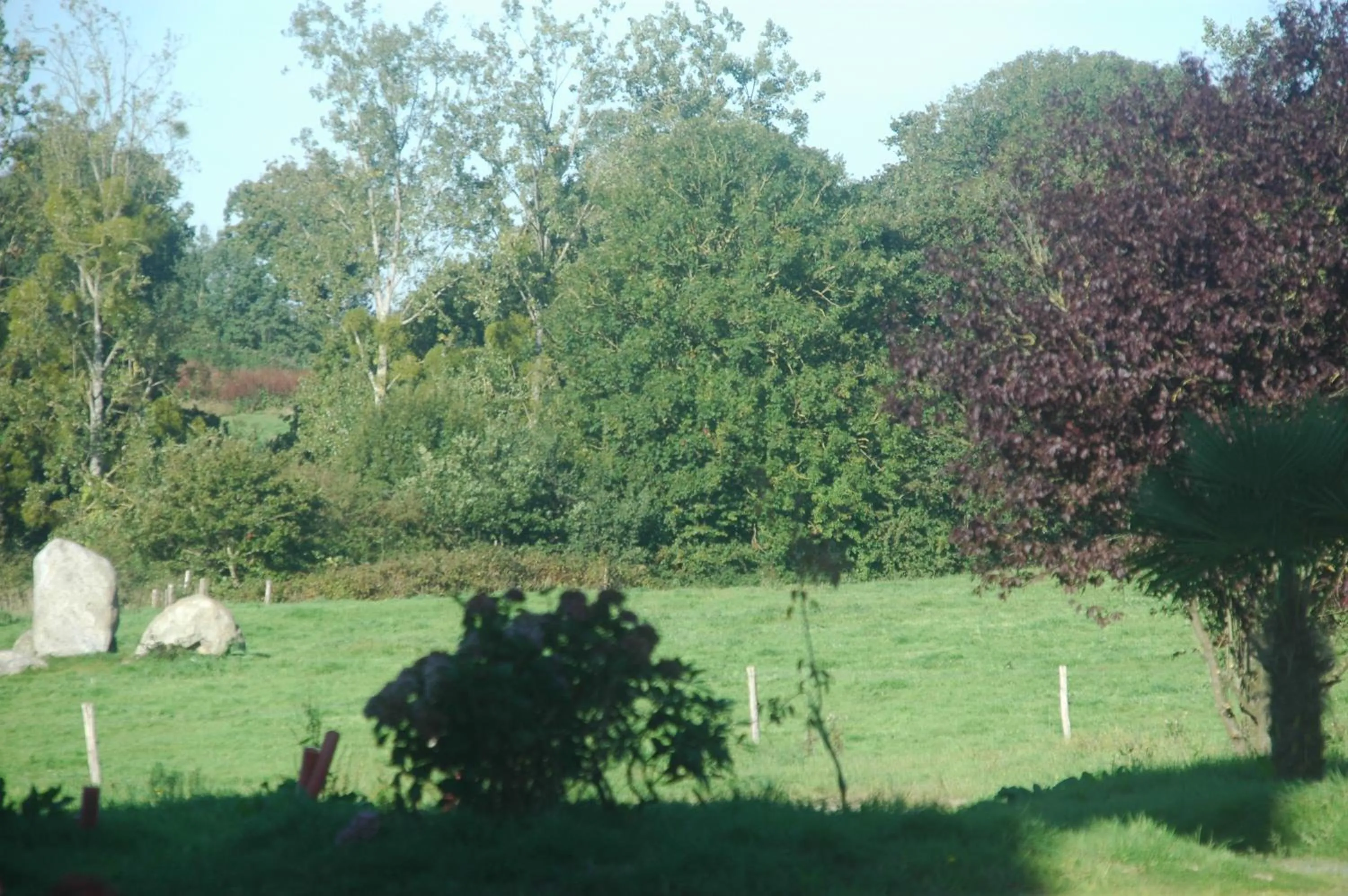 Garden in Le Chateau de Claids
