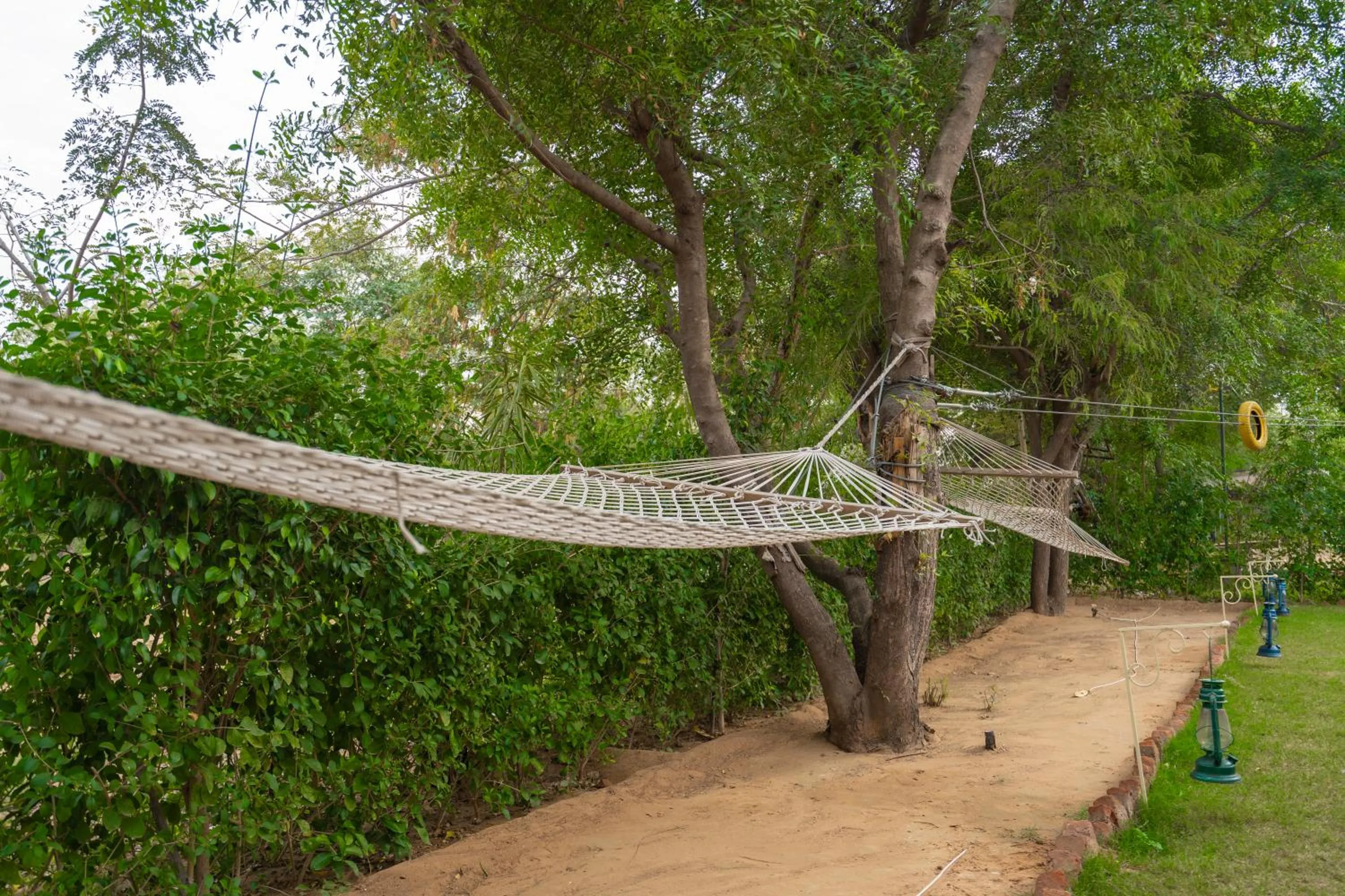 Day in Aranya by Stories