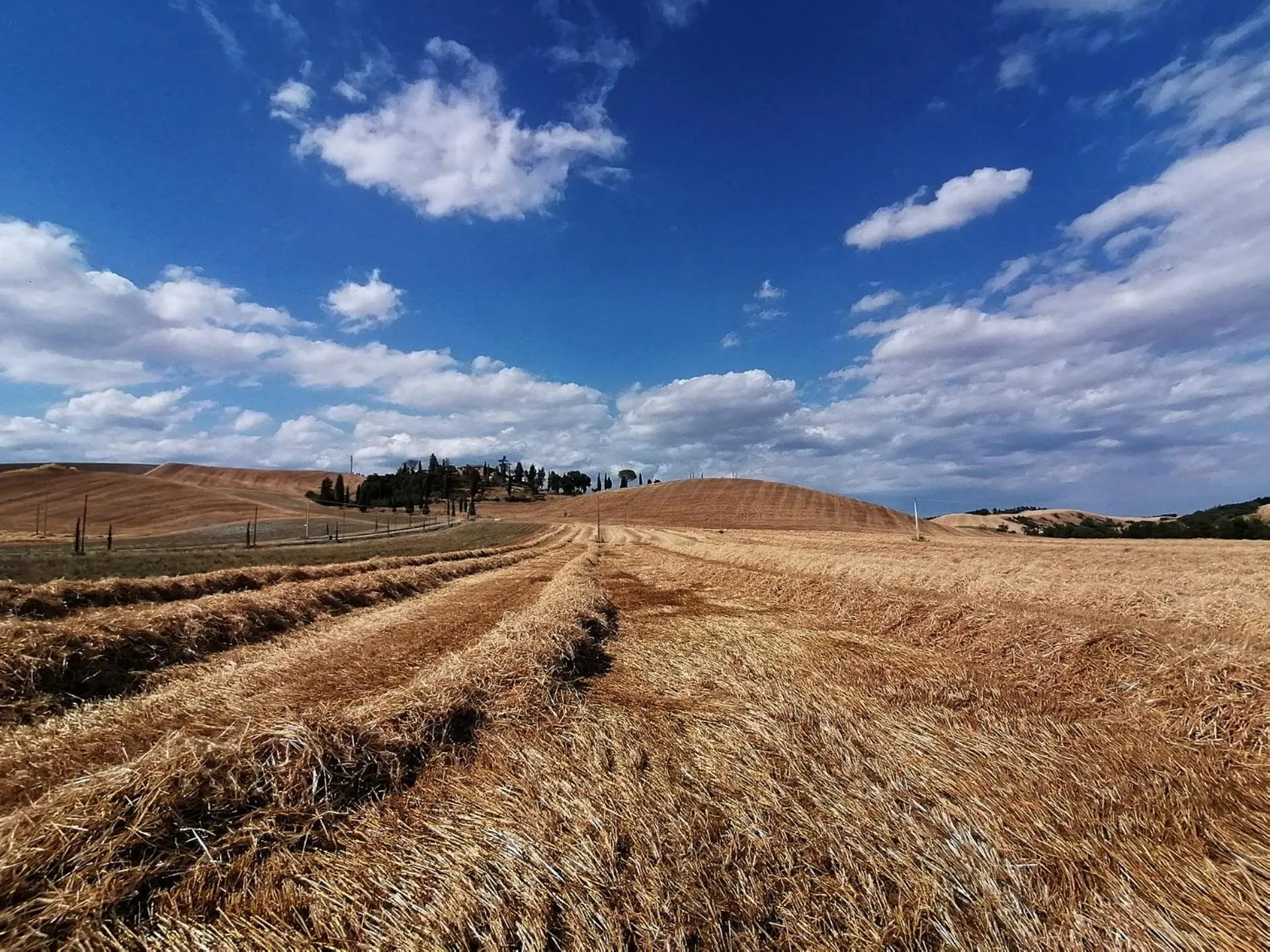 Day in Tenuta d'Arbia, Siena