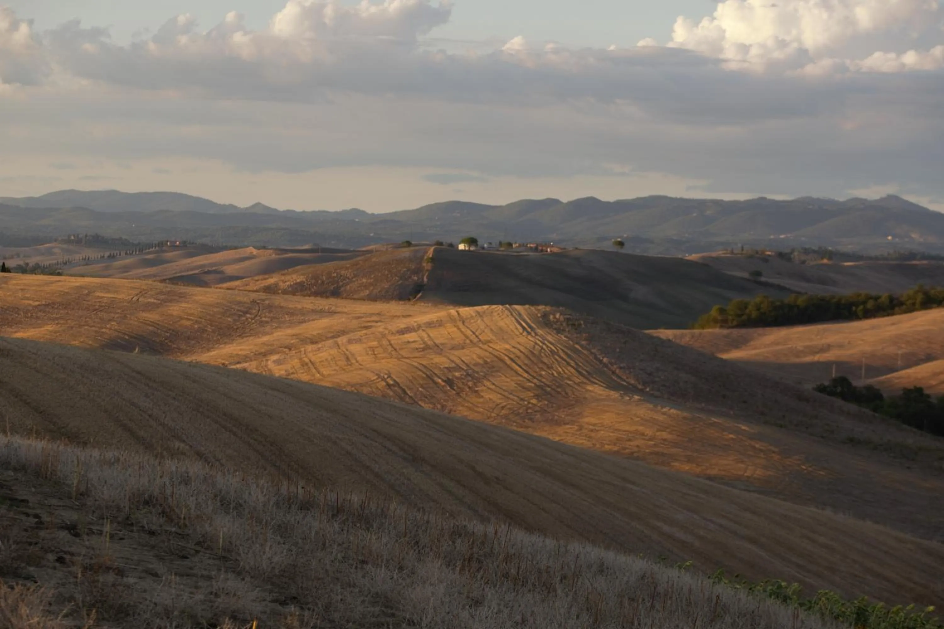 Property building in Tenuta d'Arbia, Siena