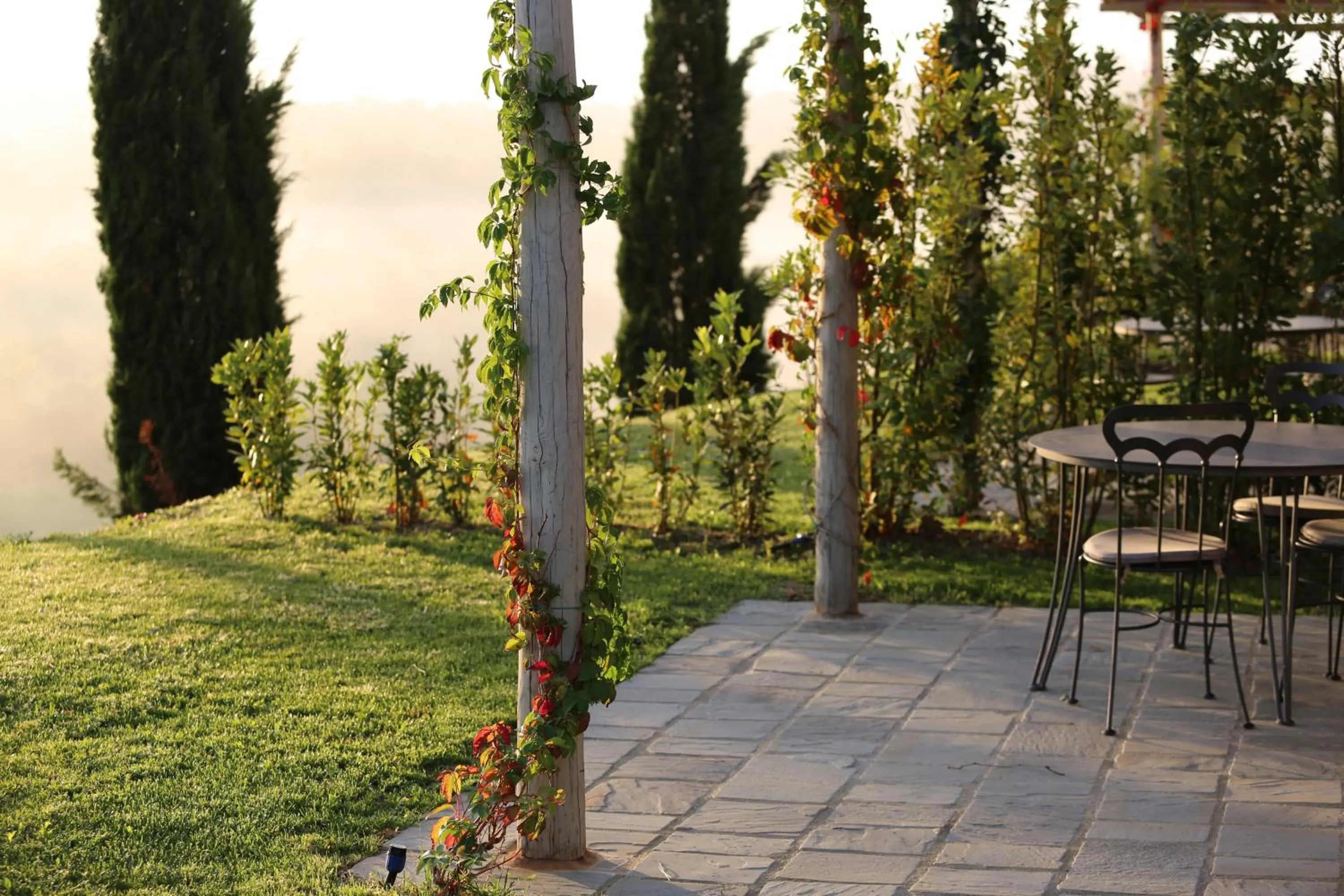 Day in Tenuta d'Arbia, Siena