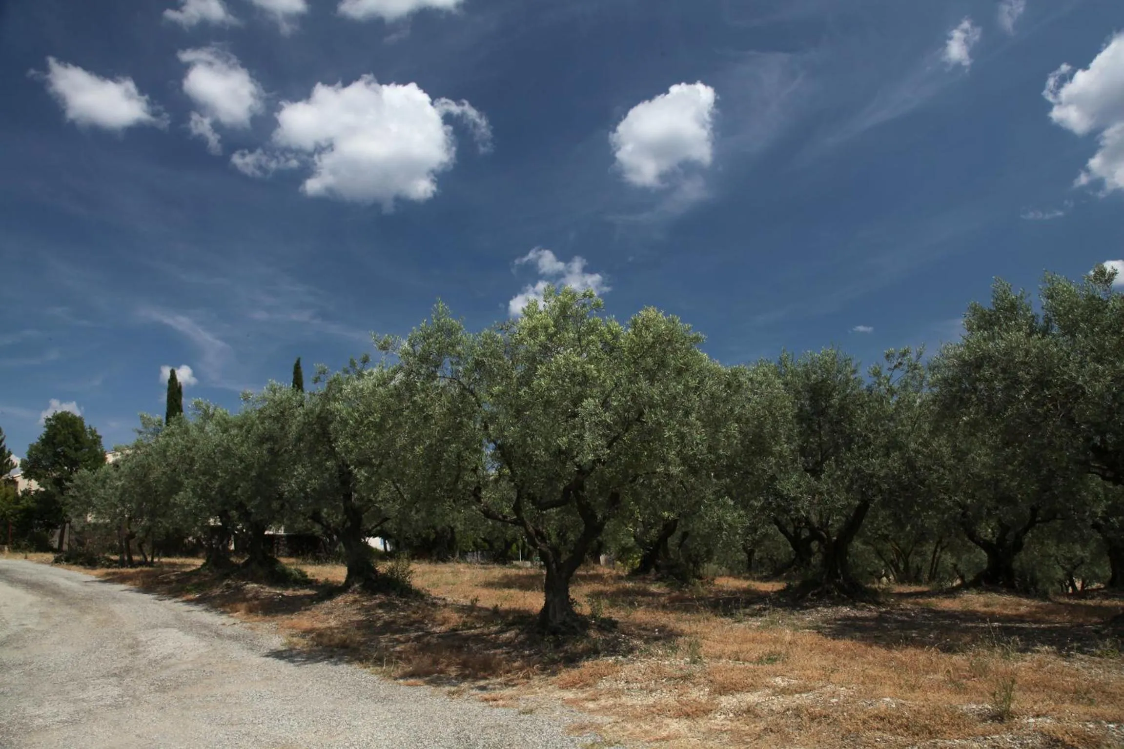 Area and facilities in B&B La Grande Dame