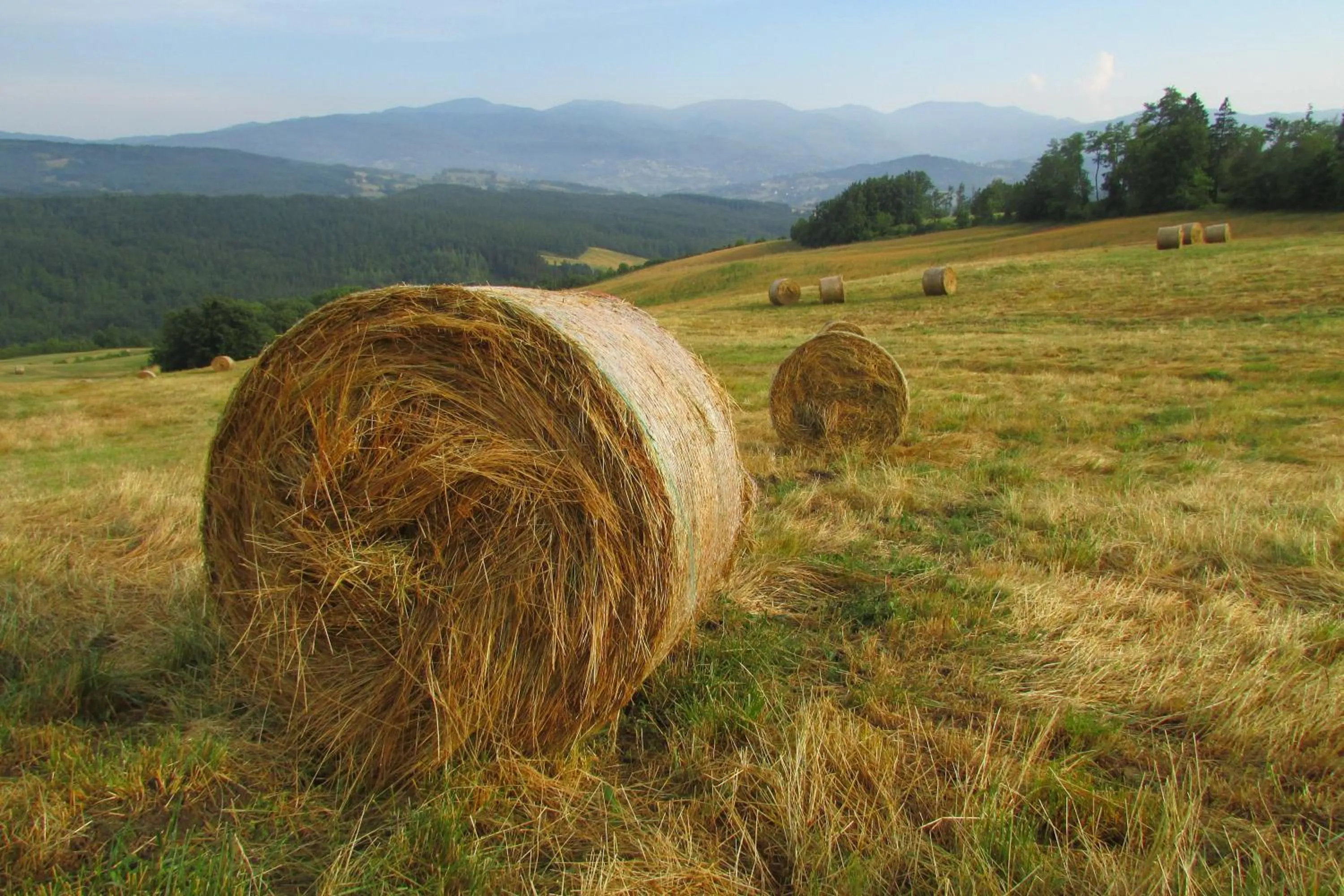 Società Agricola Cacigolara