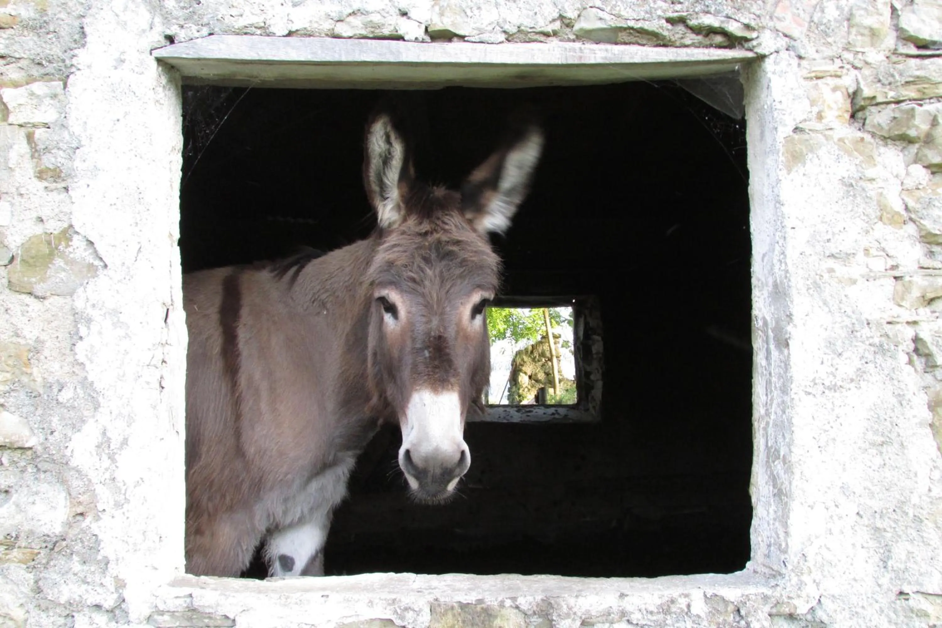 Società Agricola Cacigolara