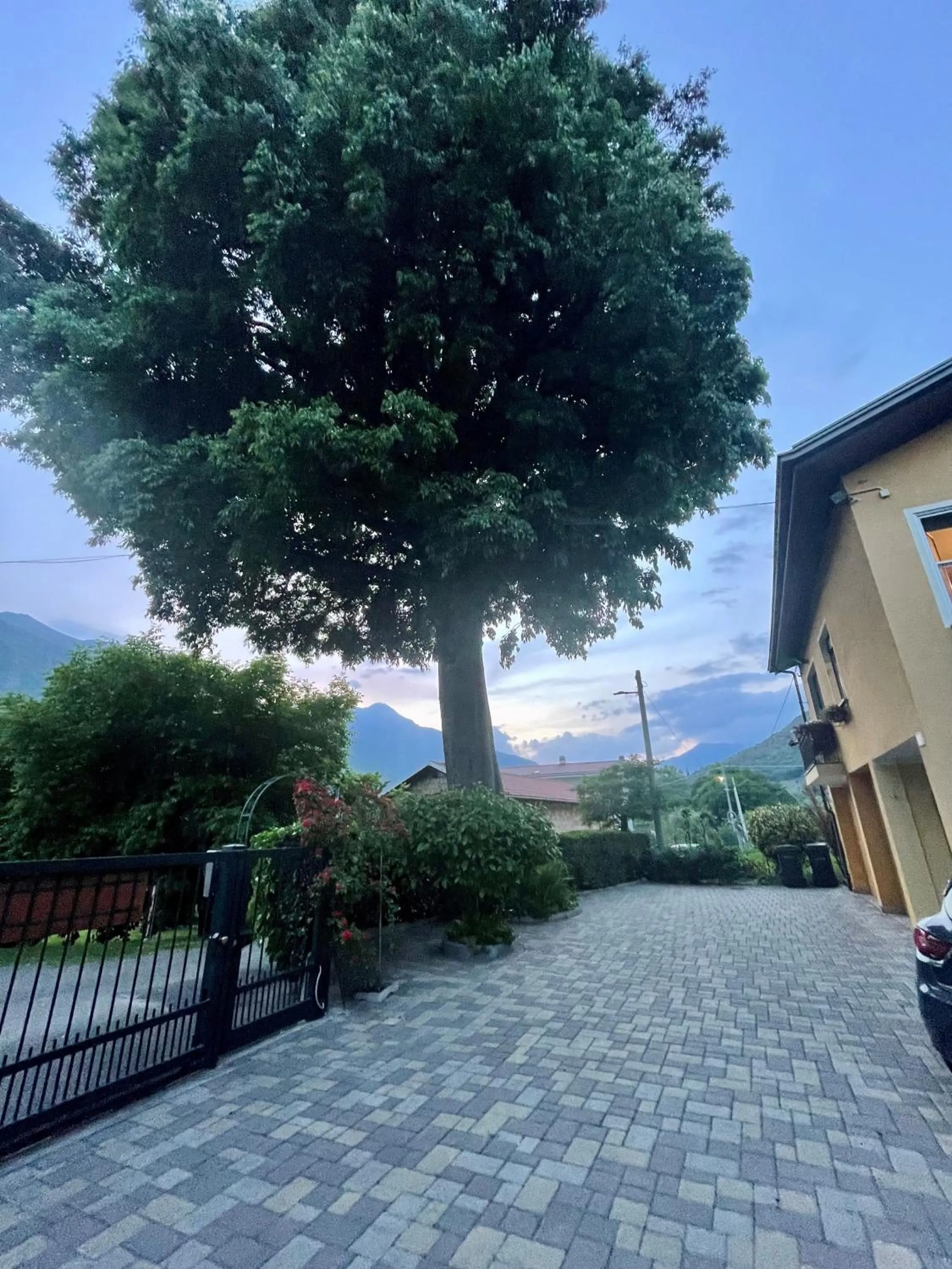 Garden in Bed & Breakfast L'Albero Maestro