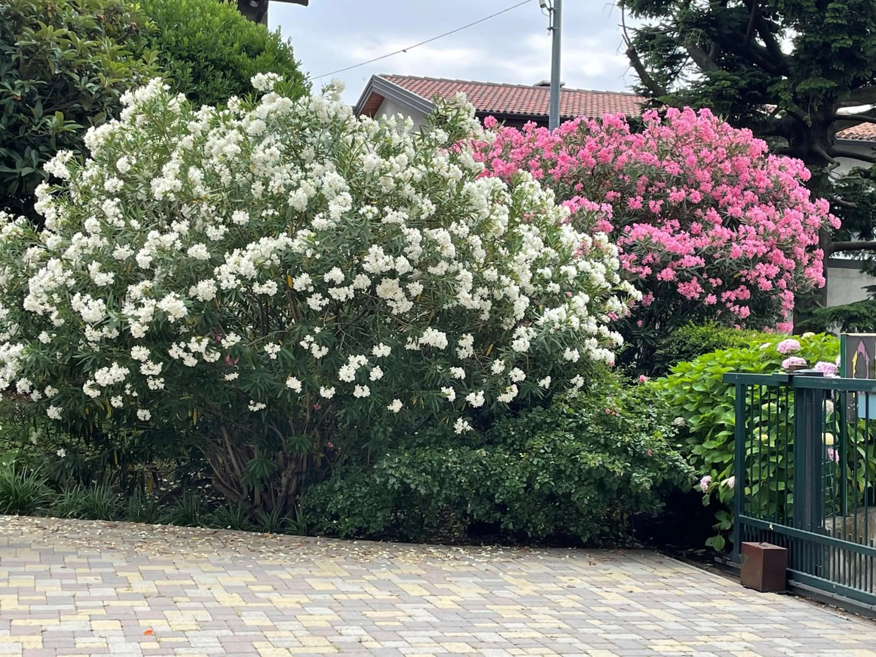 Garden in Bed & Breakfast L'Albero Maestro