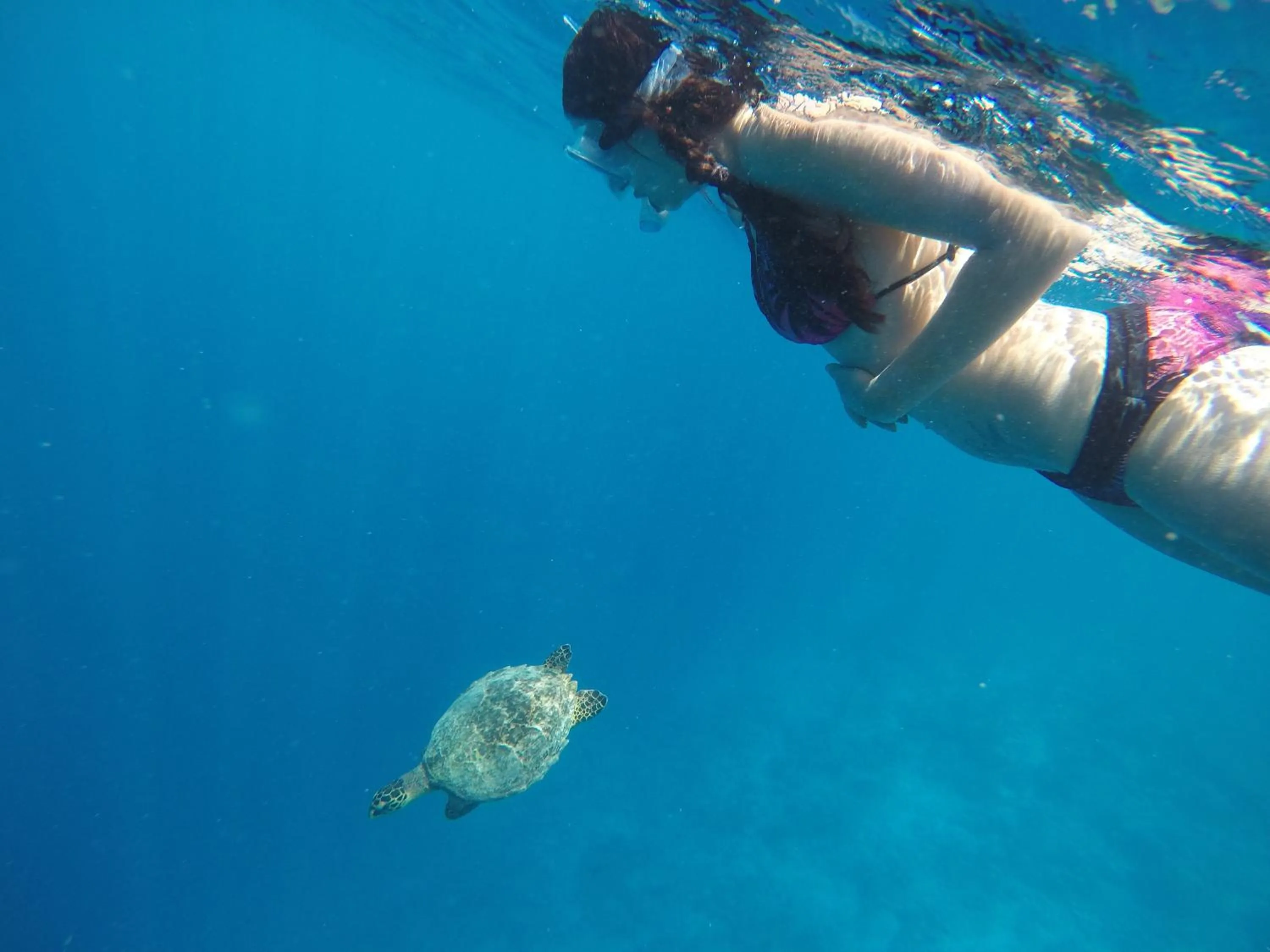 Snorkeling in Rasdhoo Coralville