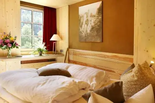 Eco-Double Room - single occupancy in Bio-Hotel Helvetia Eco-Double Room - single occupancy in Bio-Hotel Helvetia