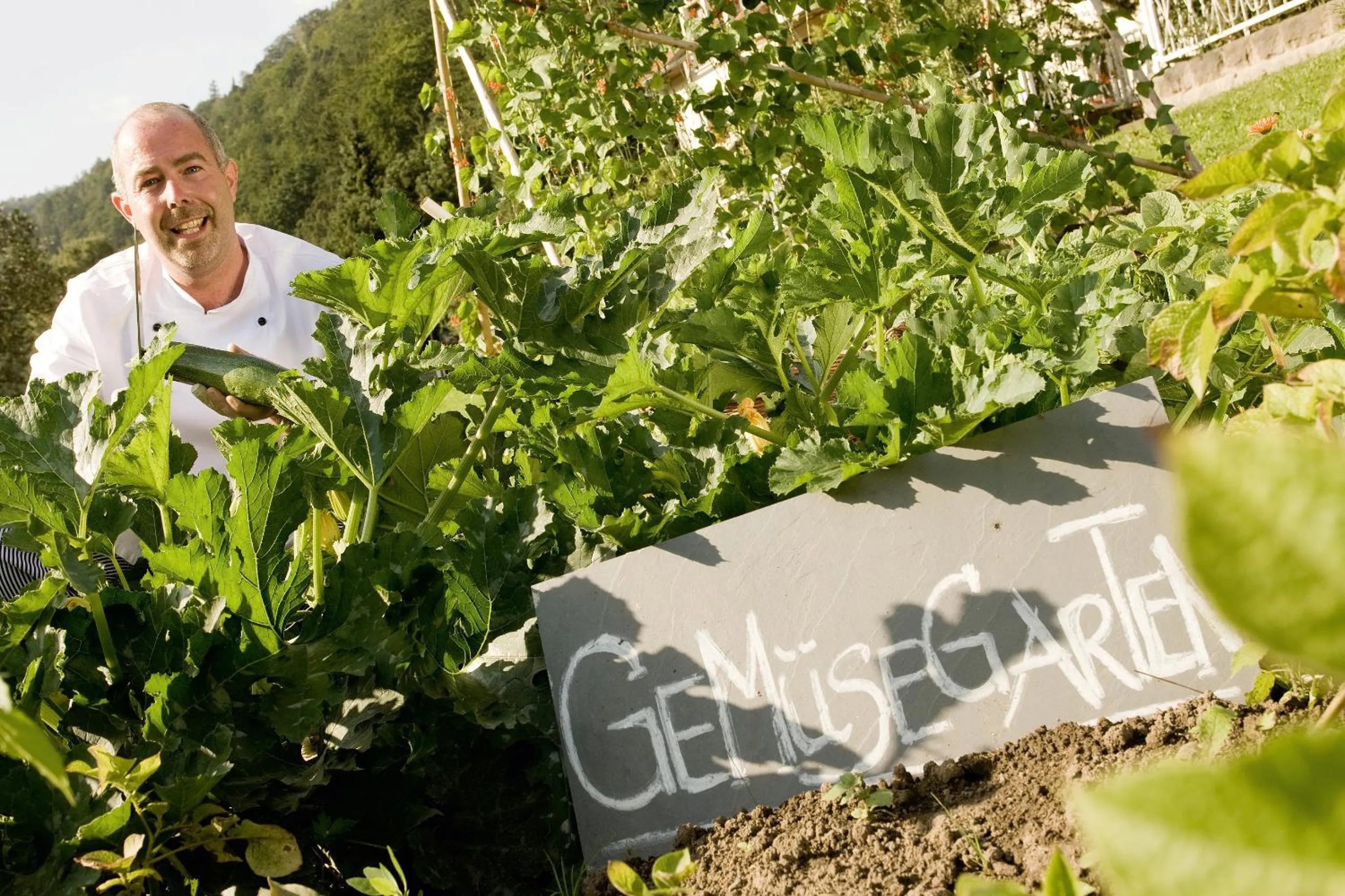 Garden in Bio-Hotel Helvetia