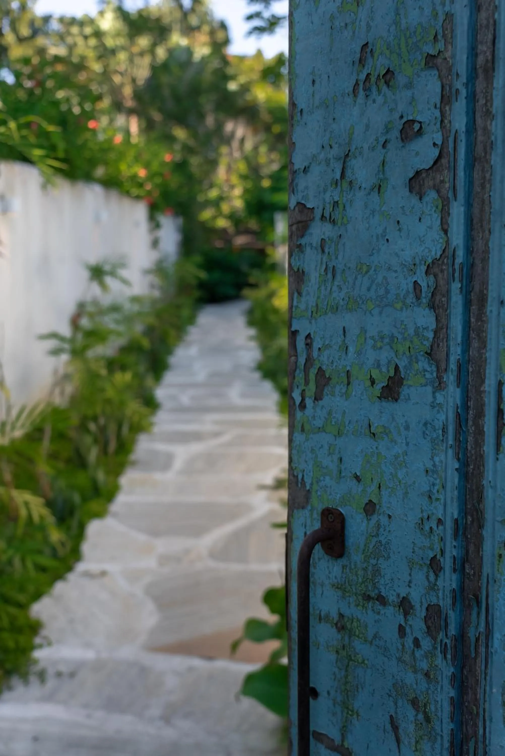 Property building in Hotel Vila São João
