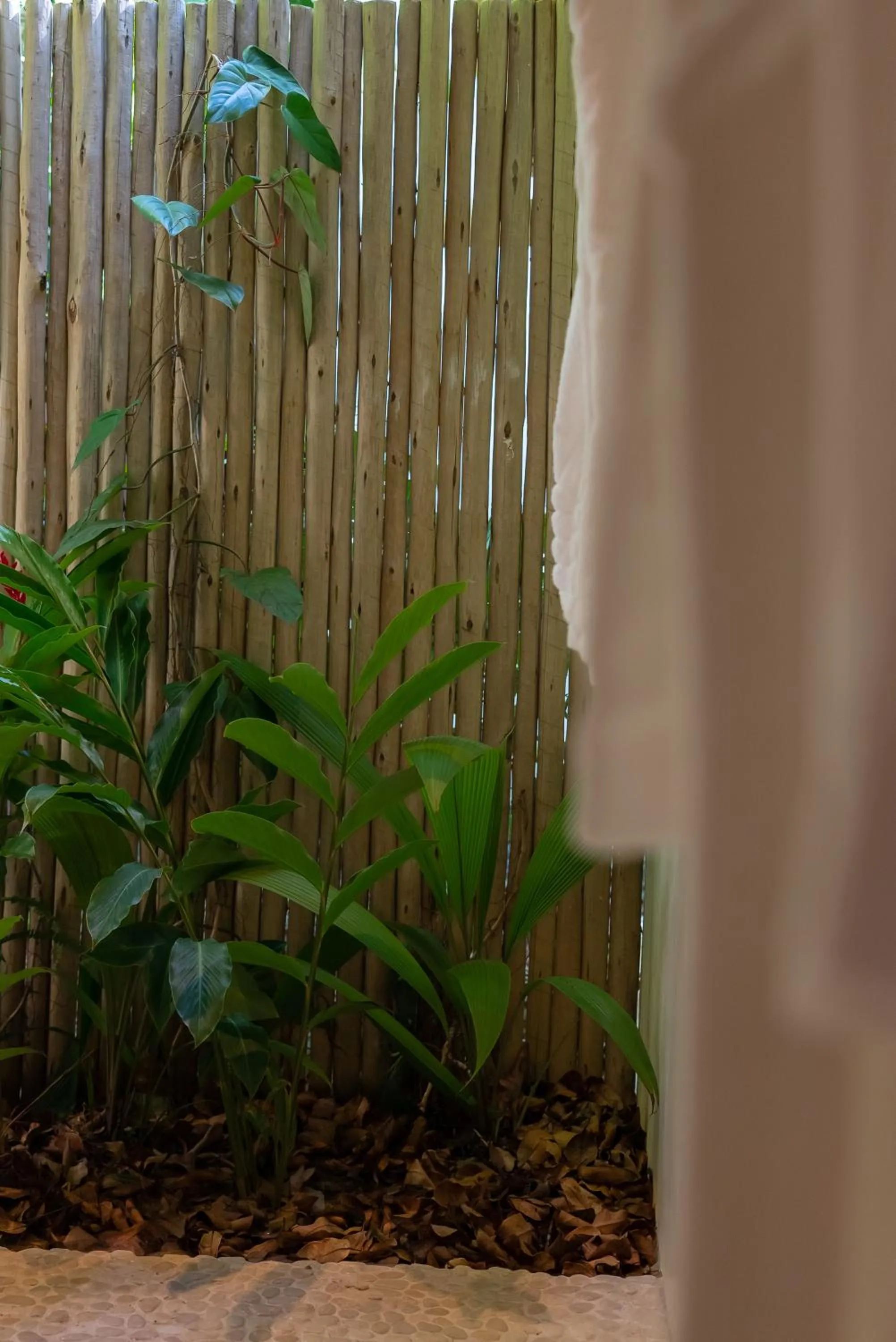 Garden in Hotel Vila São João