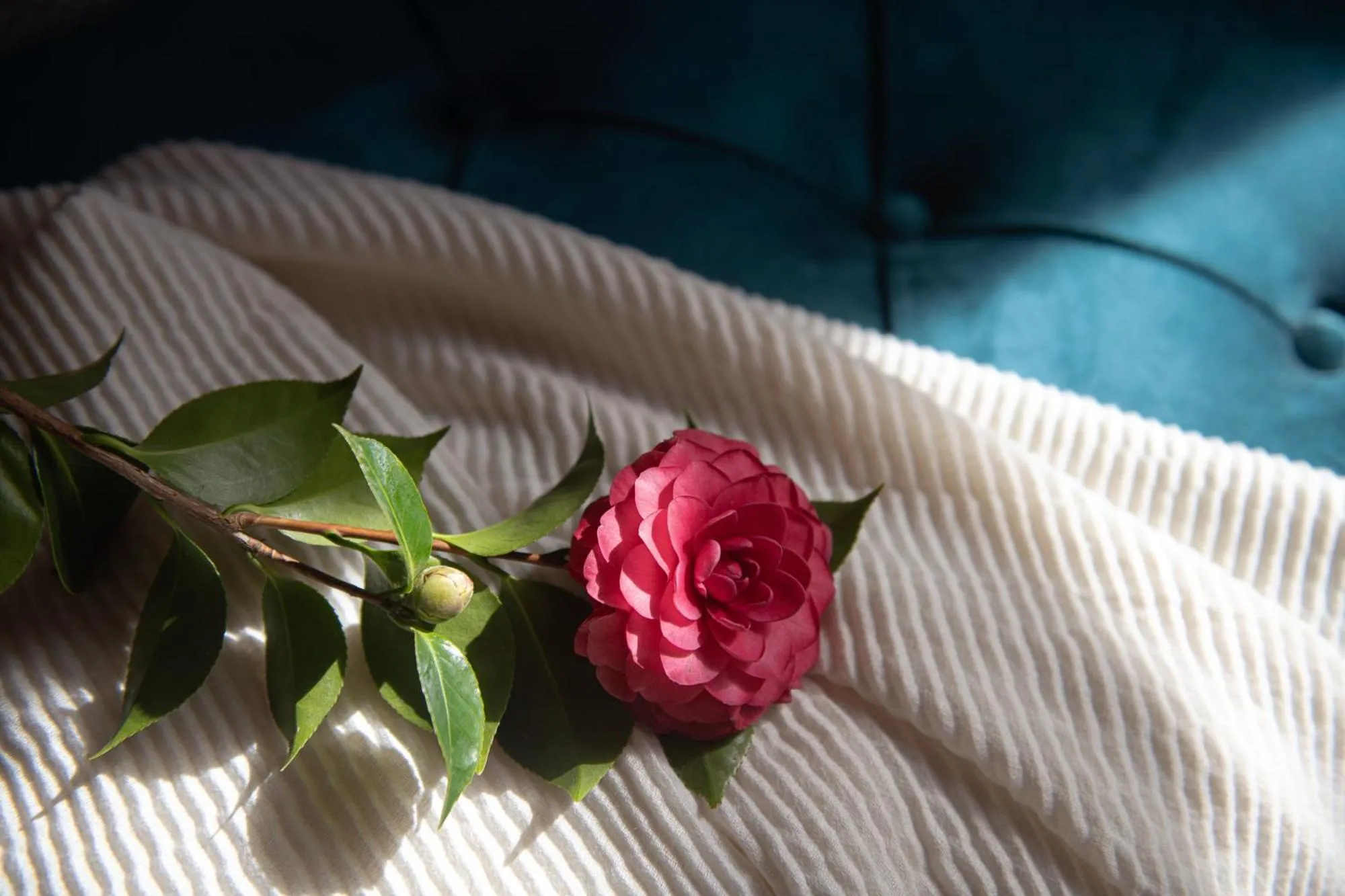 Decorative detail, Bed in La Casa de La Camelia