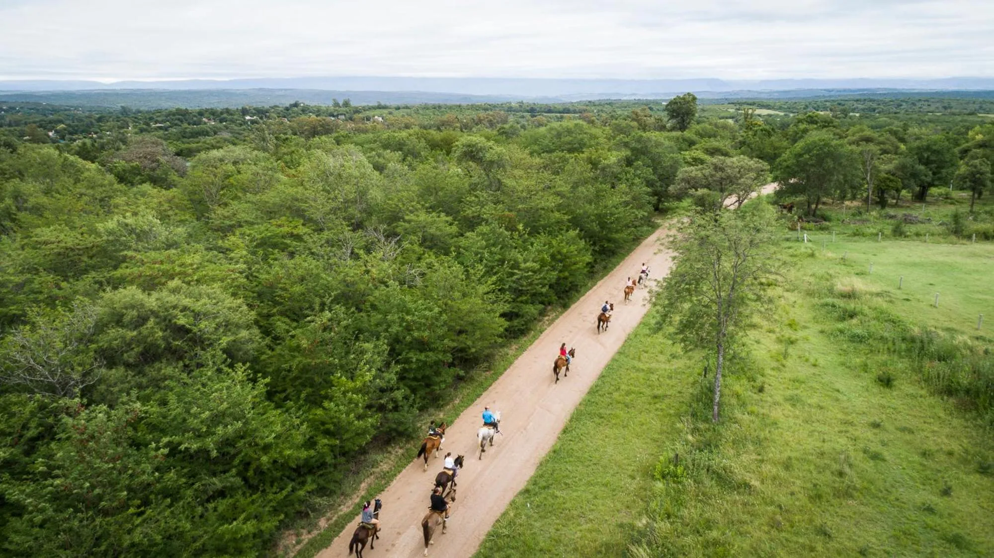 Domingo Design Hotel