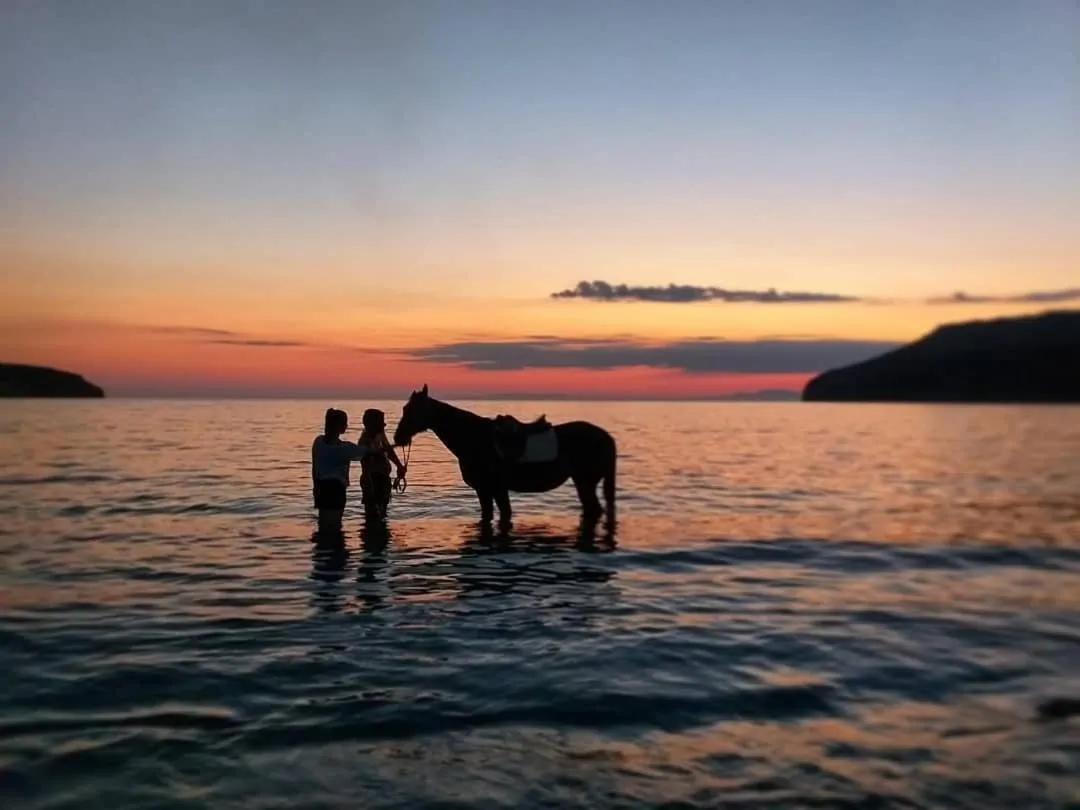 Horse-riding in YeeOn Boutique Hotel, Gythio - Historic Hotels of Europe
