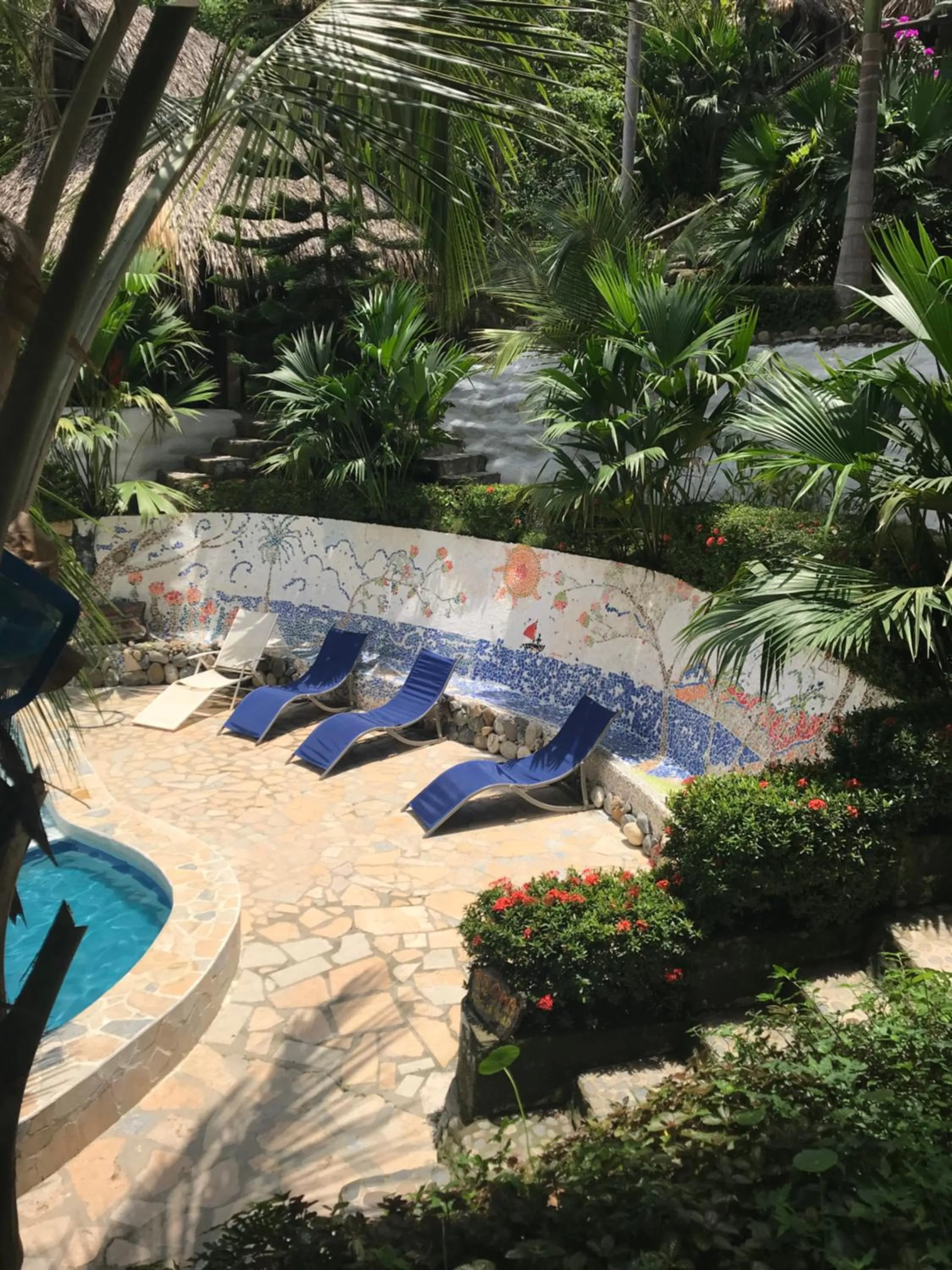 Day in Monte Verde Tayrona
