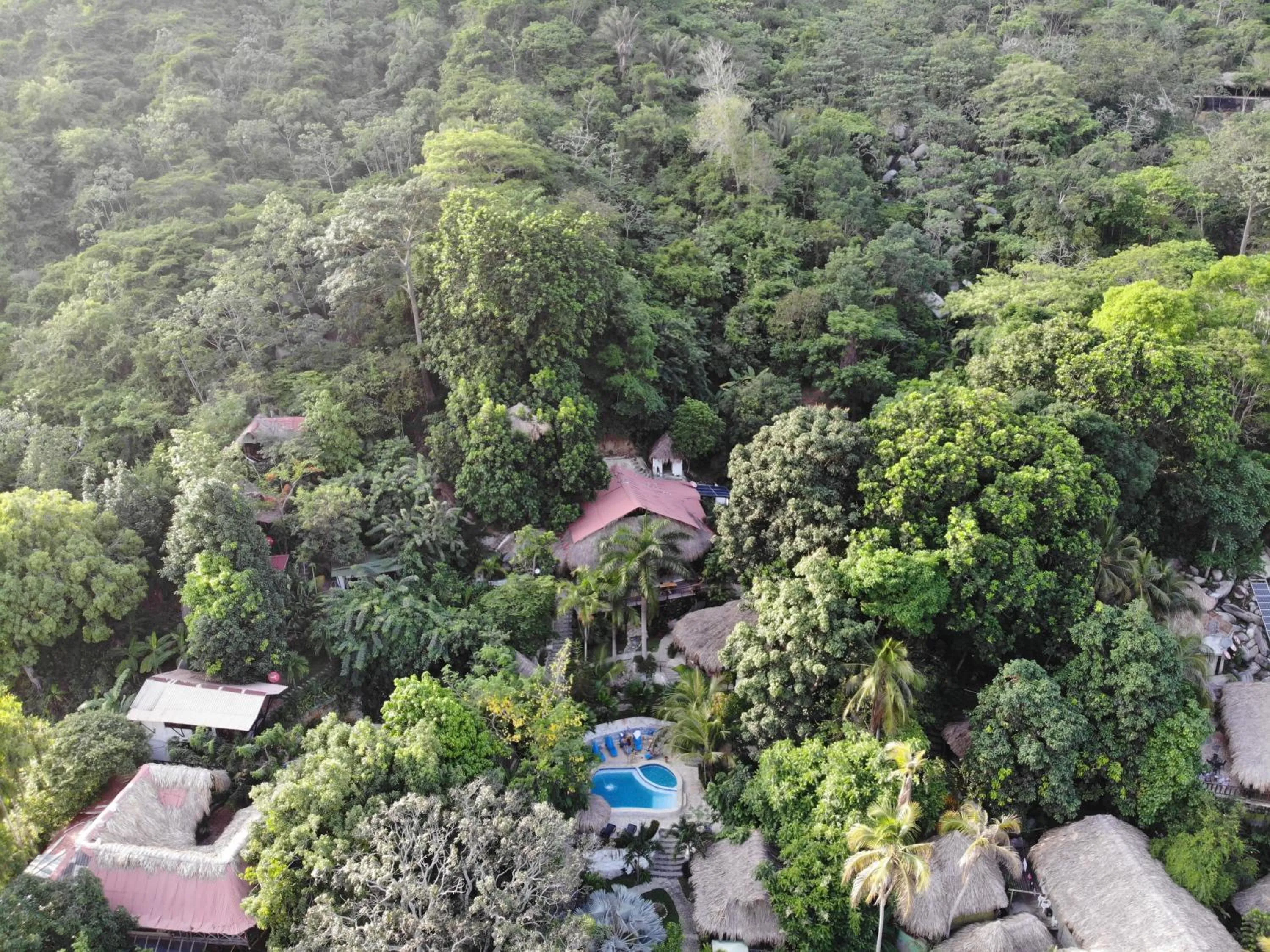 Off site in Monte Verde Tayrona