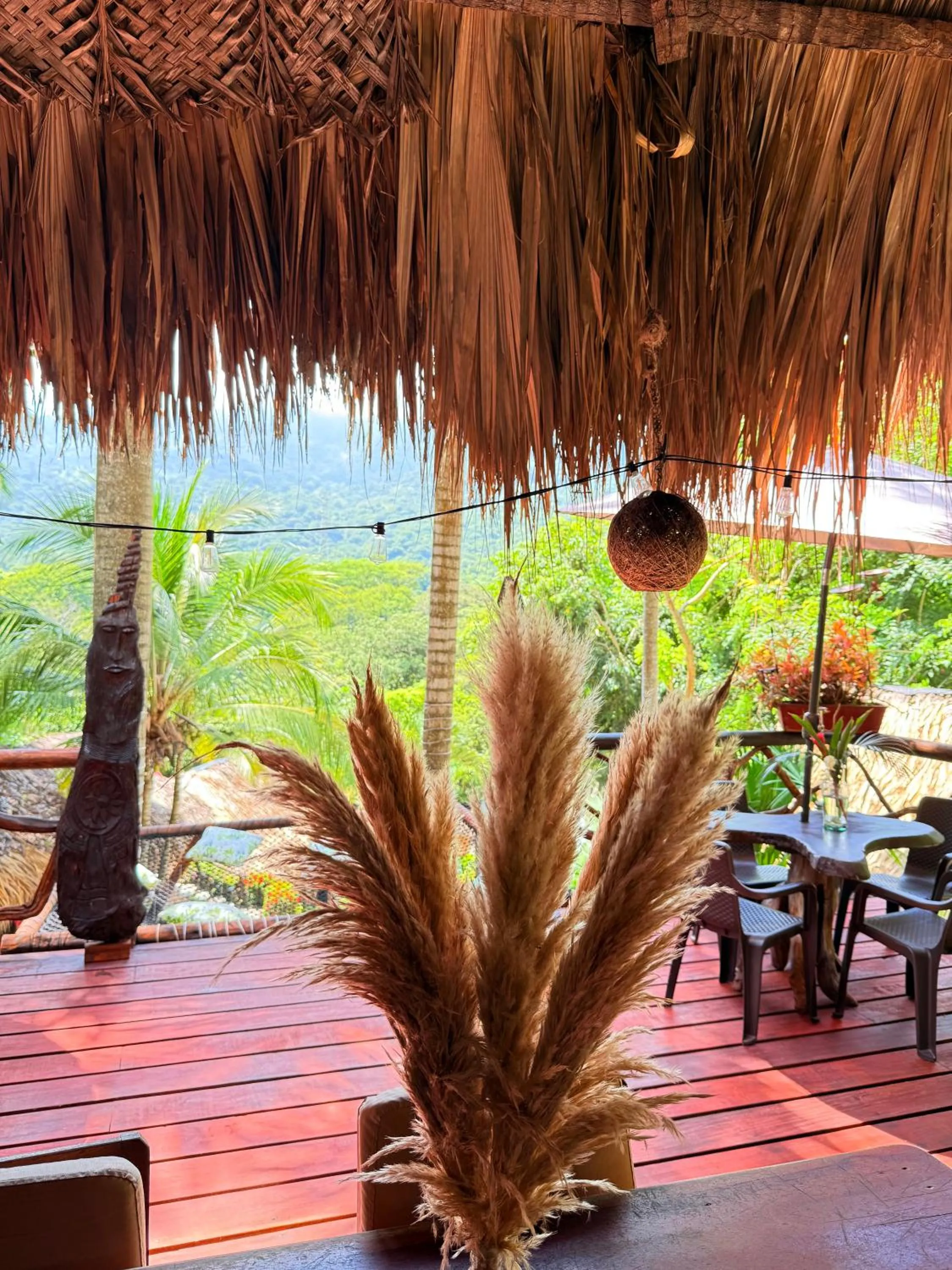 Restaurant/places to eat in Monte Verde Tayrona