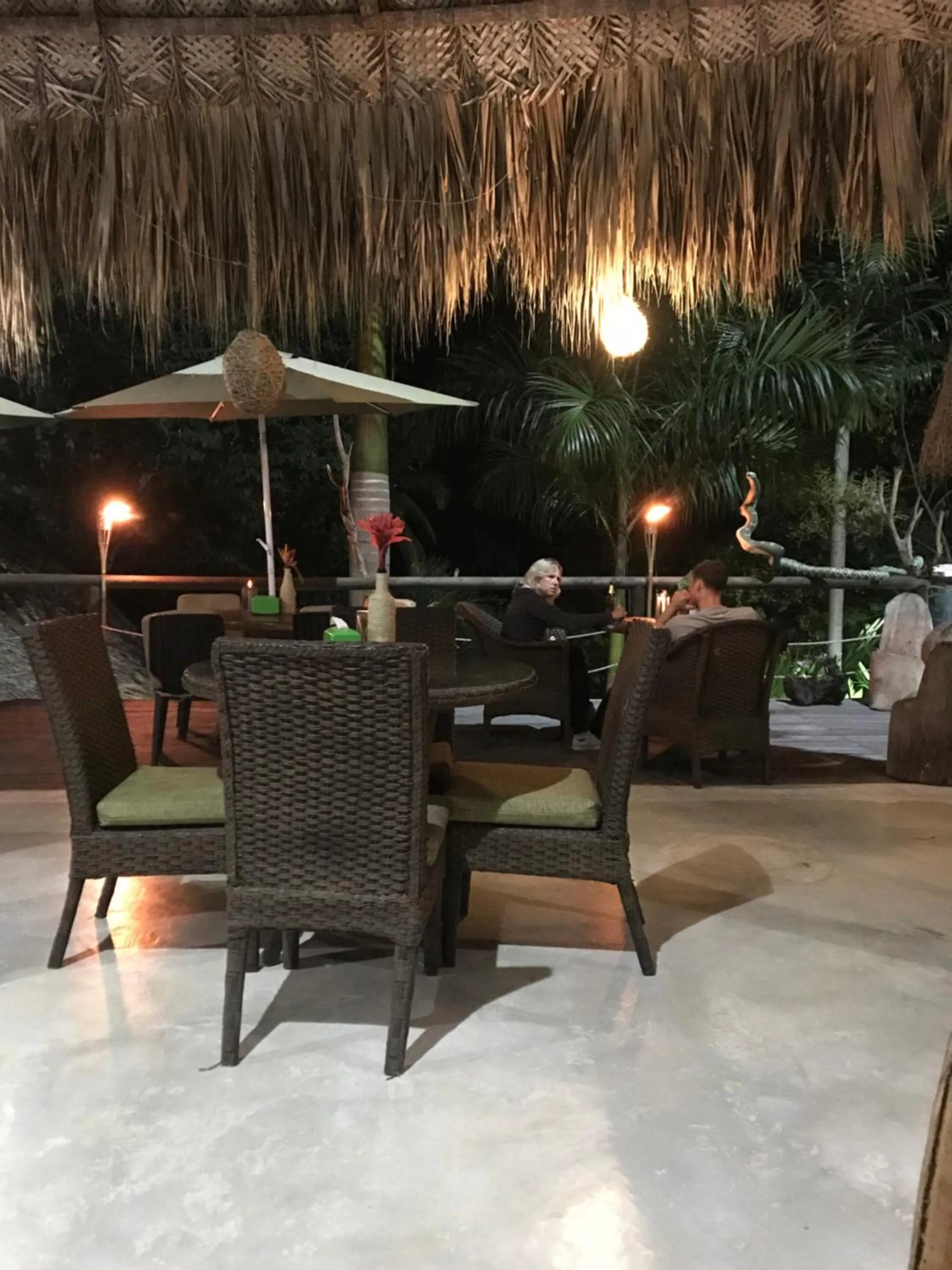 Night in Monte Verde Tayrona
