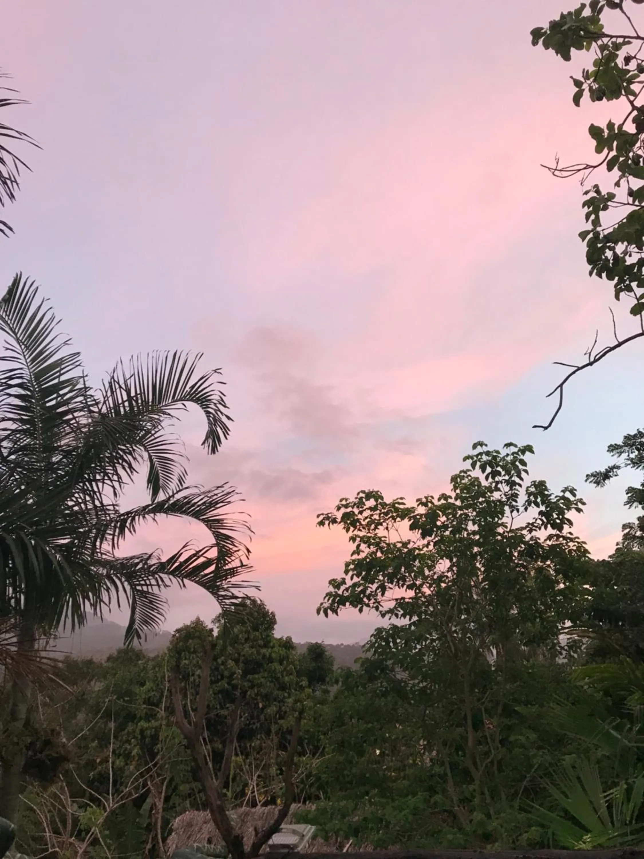 Natural landscape in Monte Verde Tayrona
