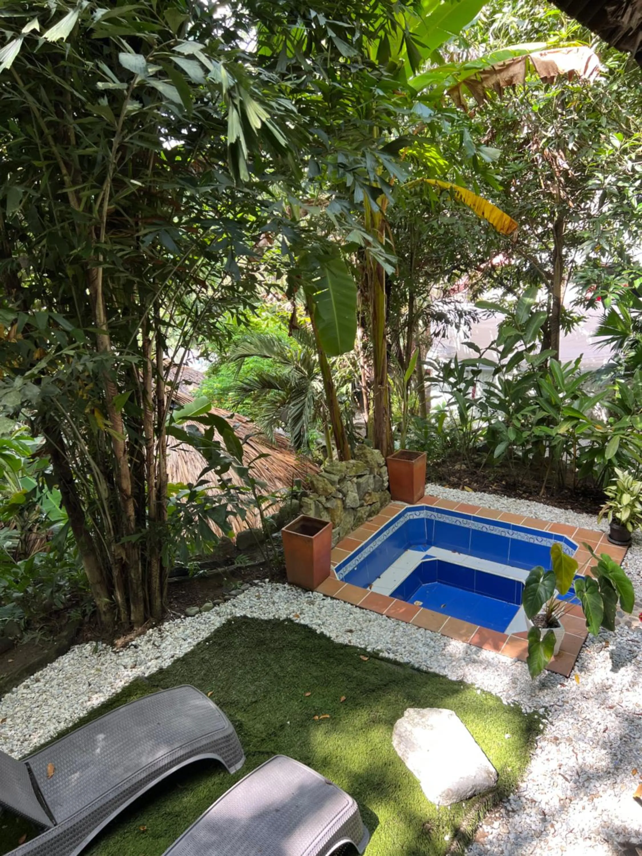 Spring in Monte Verde Tayrona