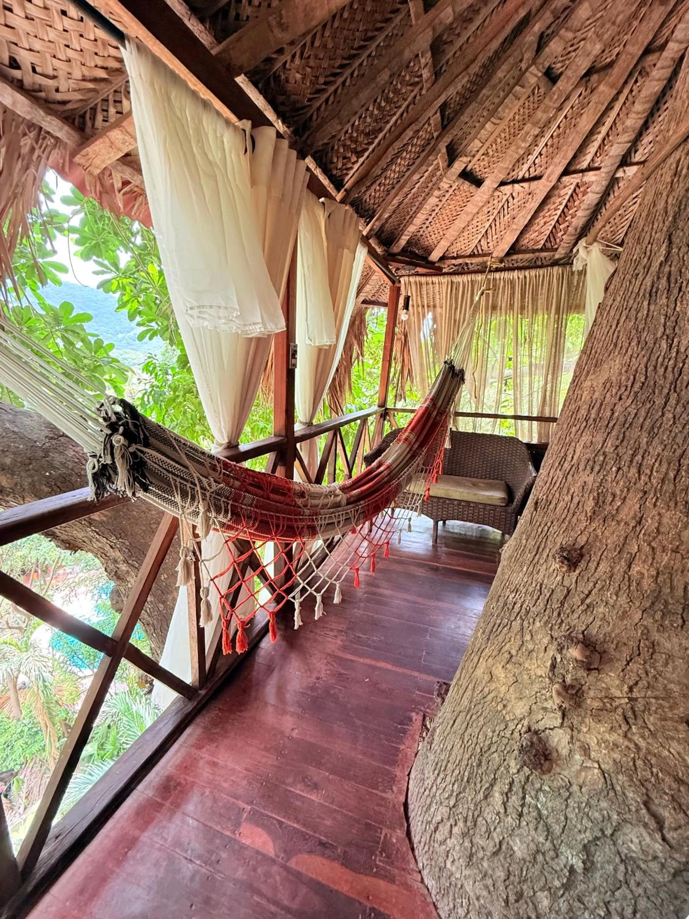 Monte Verde Tayrona