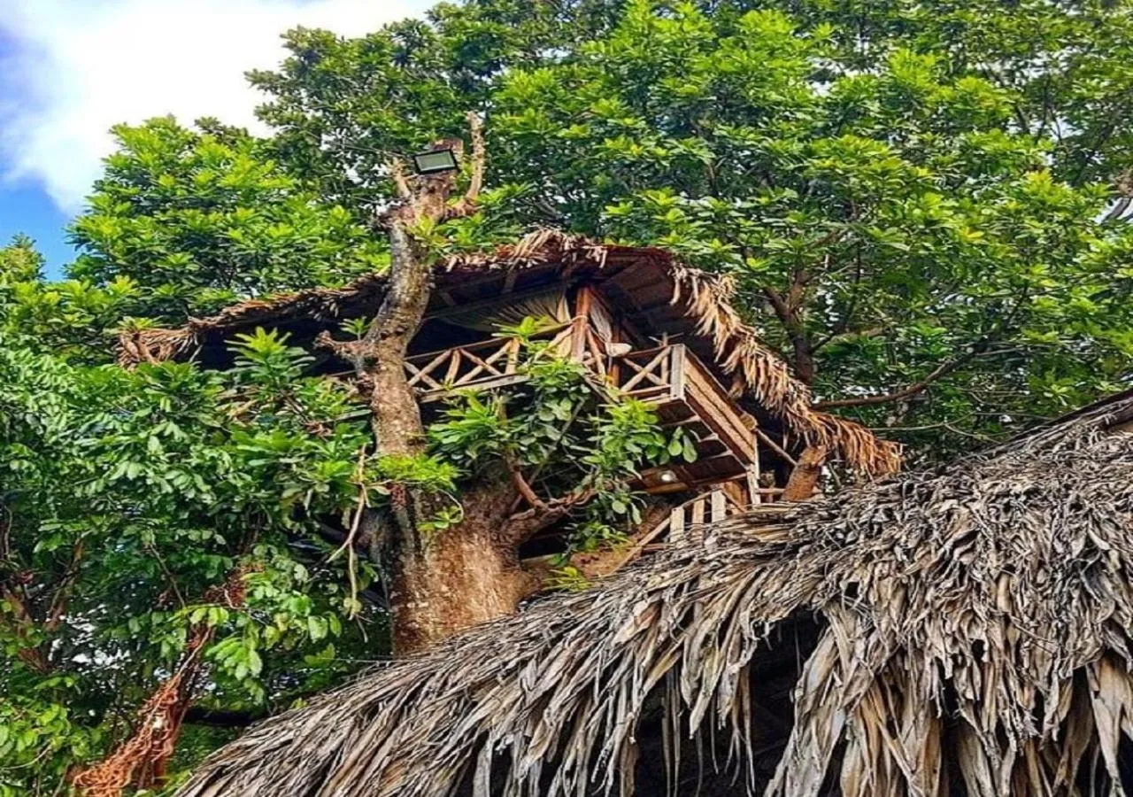 House tree - single occupancy in Monte Verde Tayrona