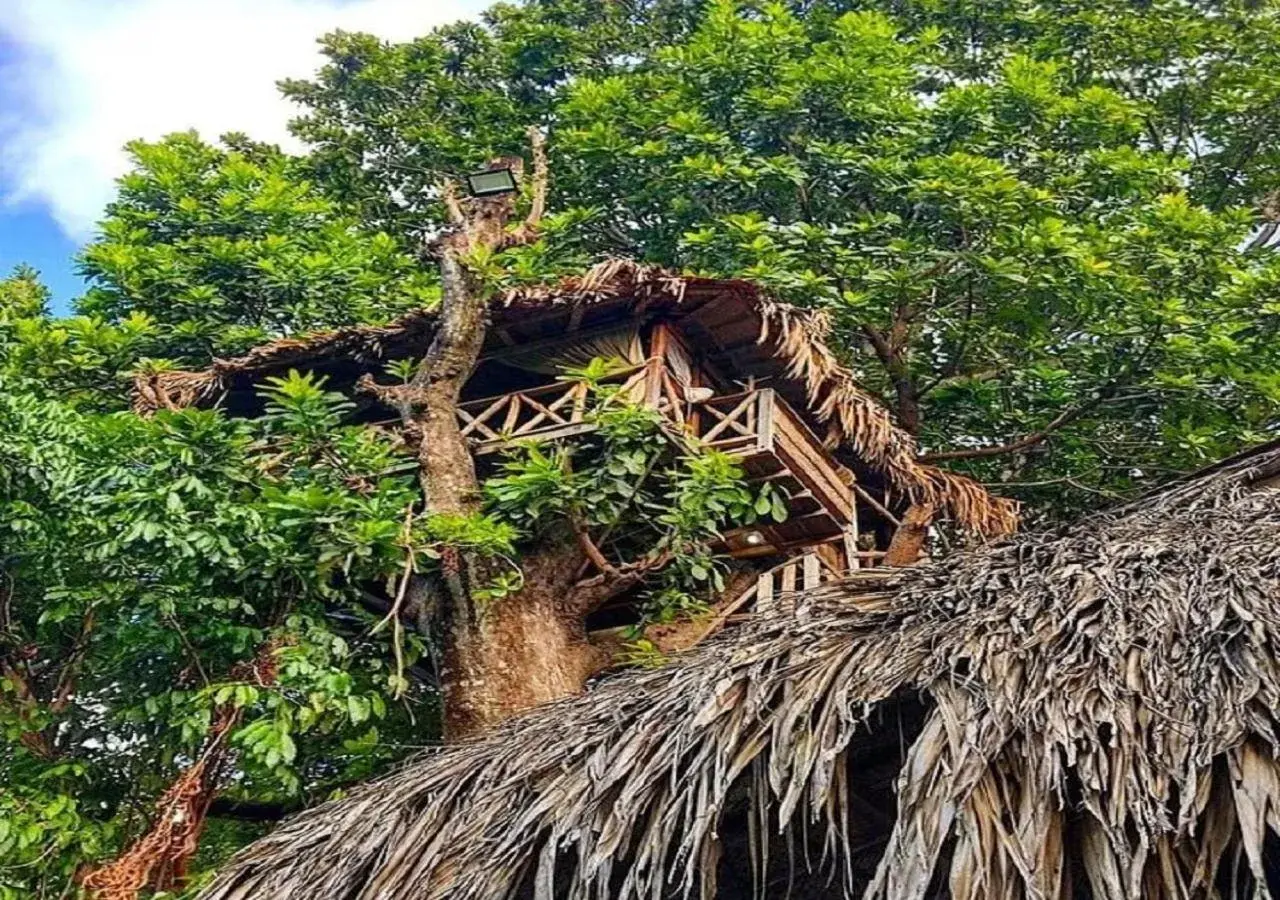 House tree - single occupancy in Monte Verde Tayrona House tree - single occupancy in Monte Verde Tayrona